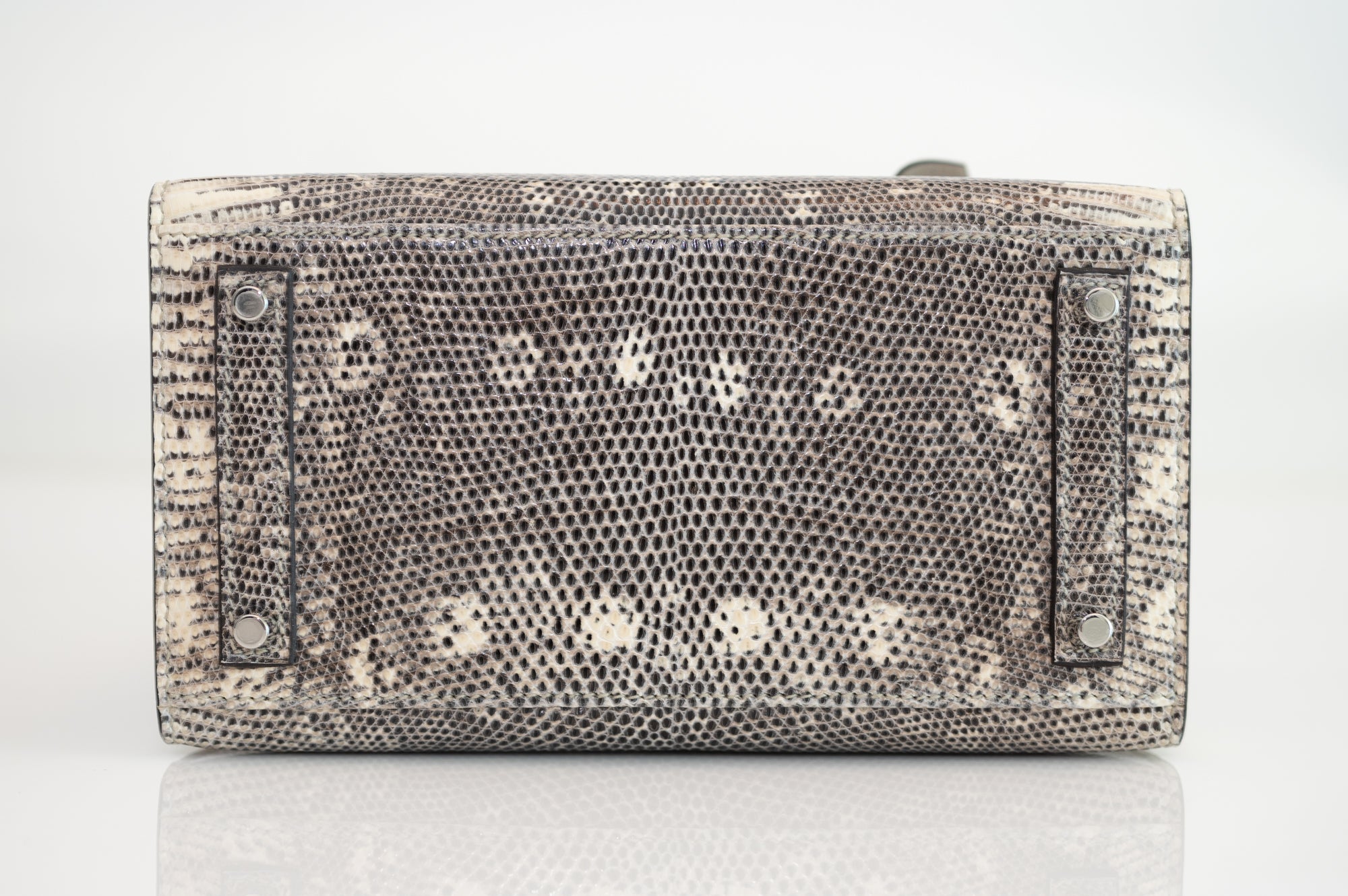 Hermès Birkin 20 Sellier Ombré Varanus Salvator Lizard Palladium Hardware