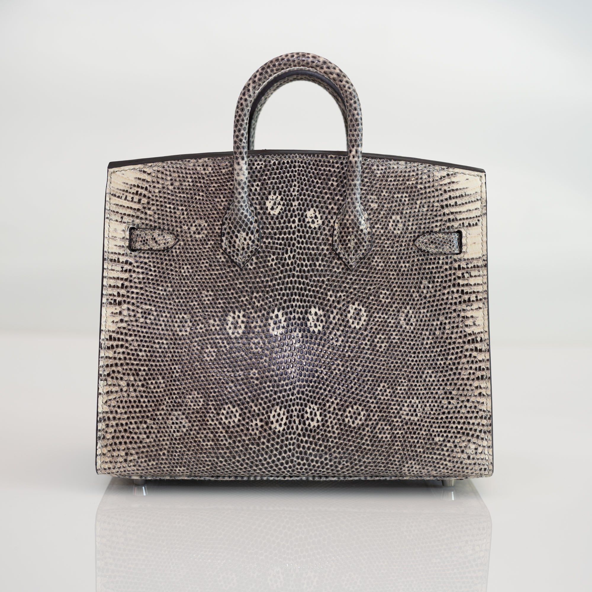 Hermès Birkin 20 Sellier Ombré Varanus Salvator Lizard Palladium Hardware