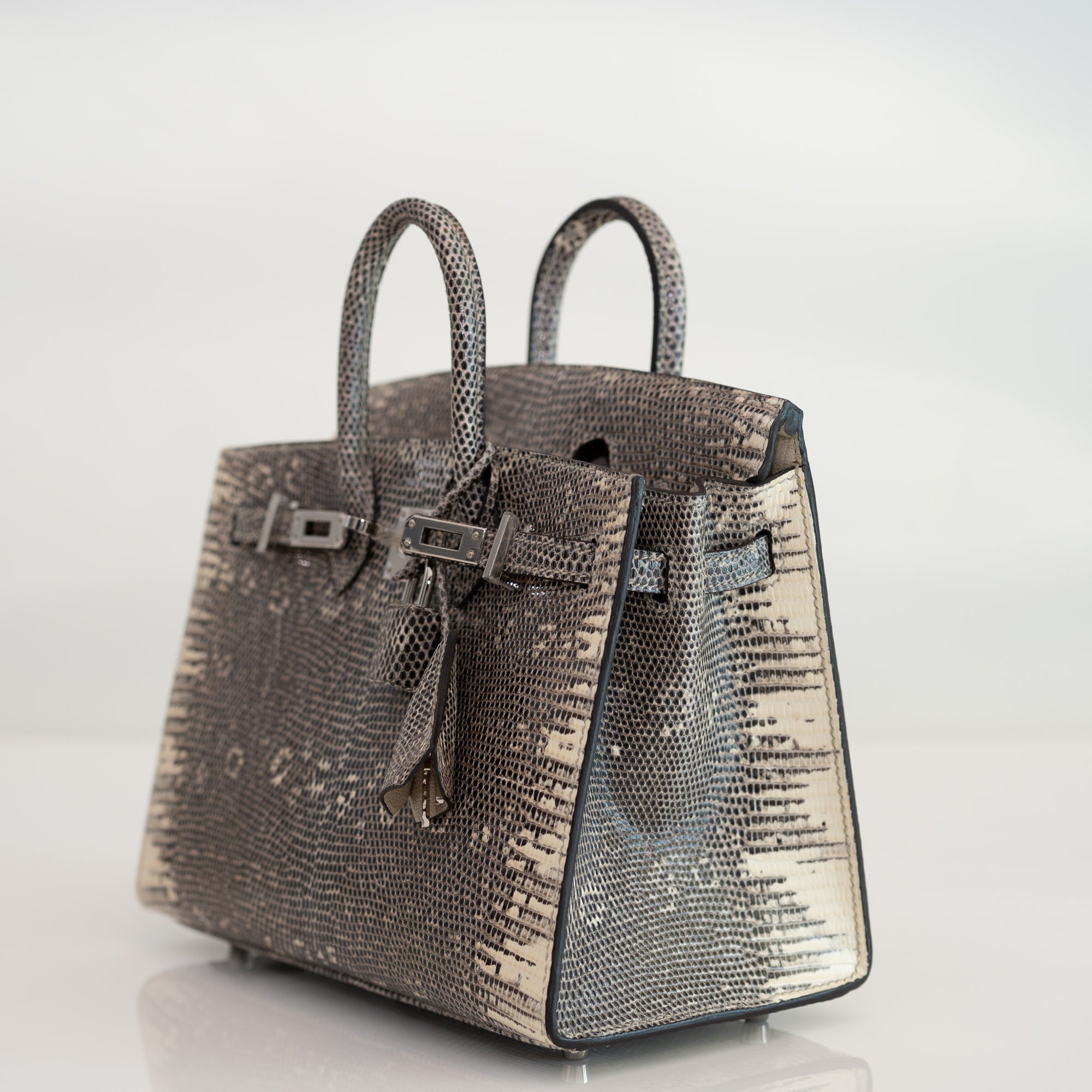 Hermès Birkin 20 Sellier Ombré Varanus Salvator Lizard Palladium Hardware