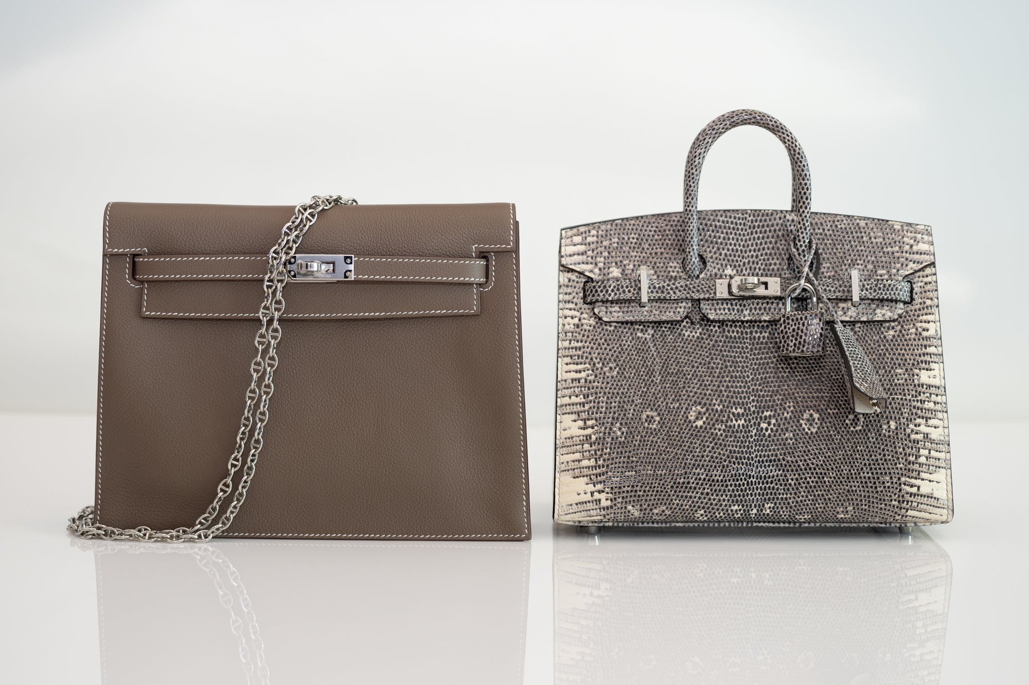 Hermès Birkin 20 Sellier Ombré Varanus Salvator Lizard Palladium Hardware