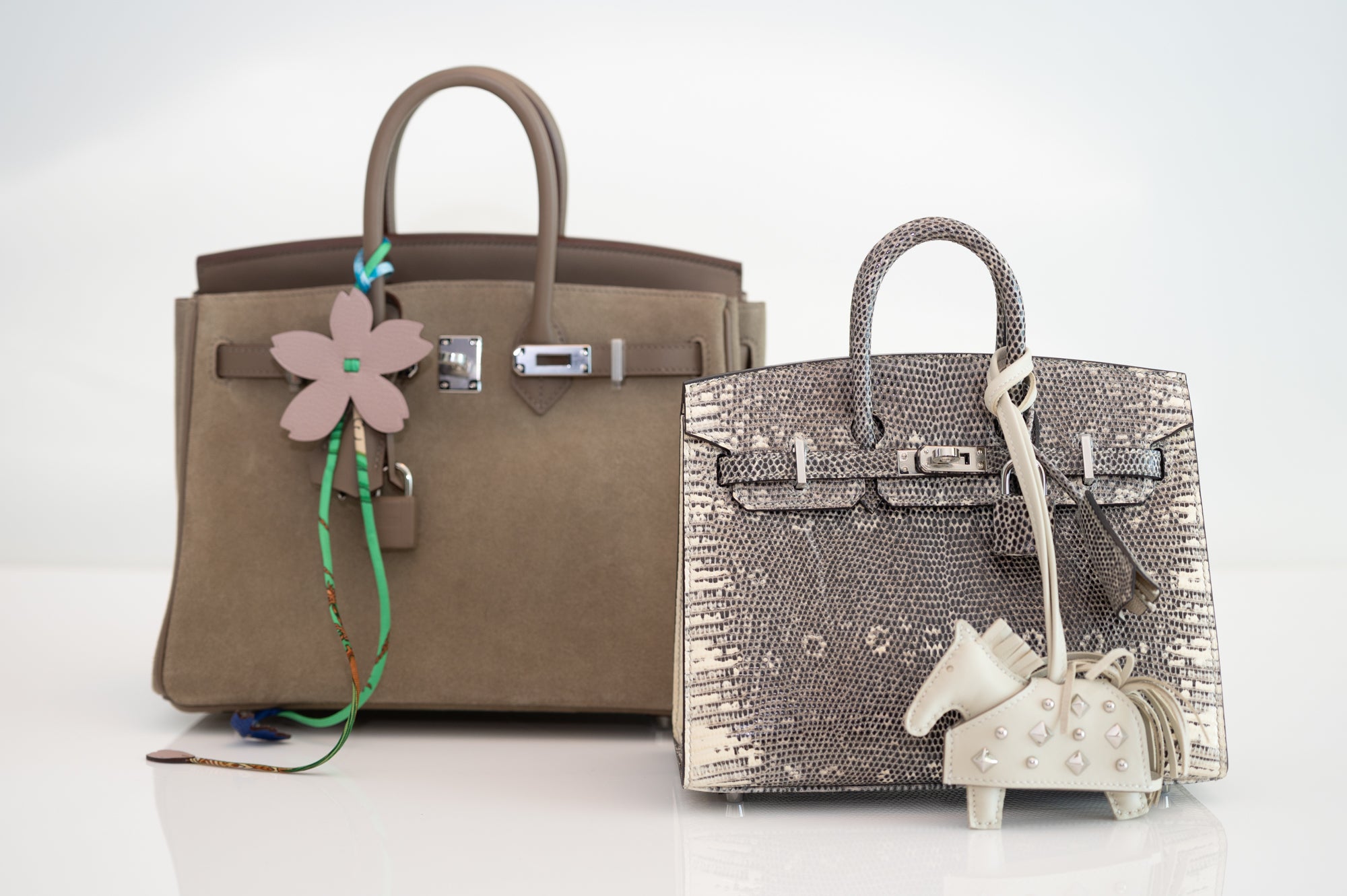 Hermès Birkin 20 Sellier Ombré Varanus Salvator Lizard Palladium Hardware