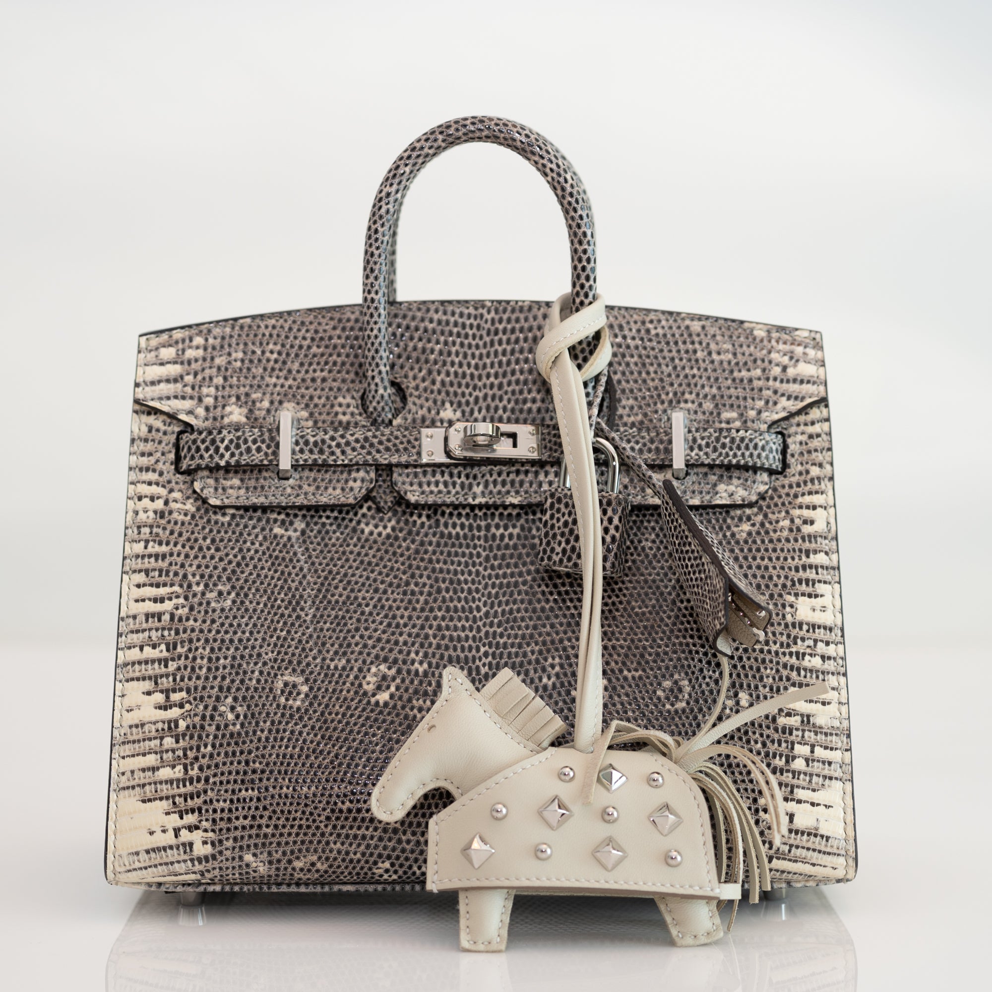 Hermès Birkin 20 Sellier Ombré Varanus Salvator Lizard Palladium Hardware