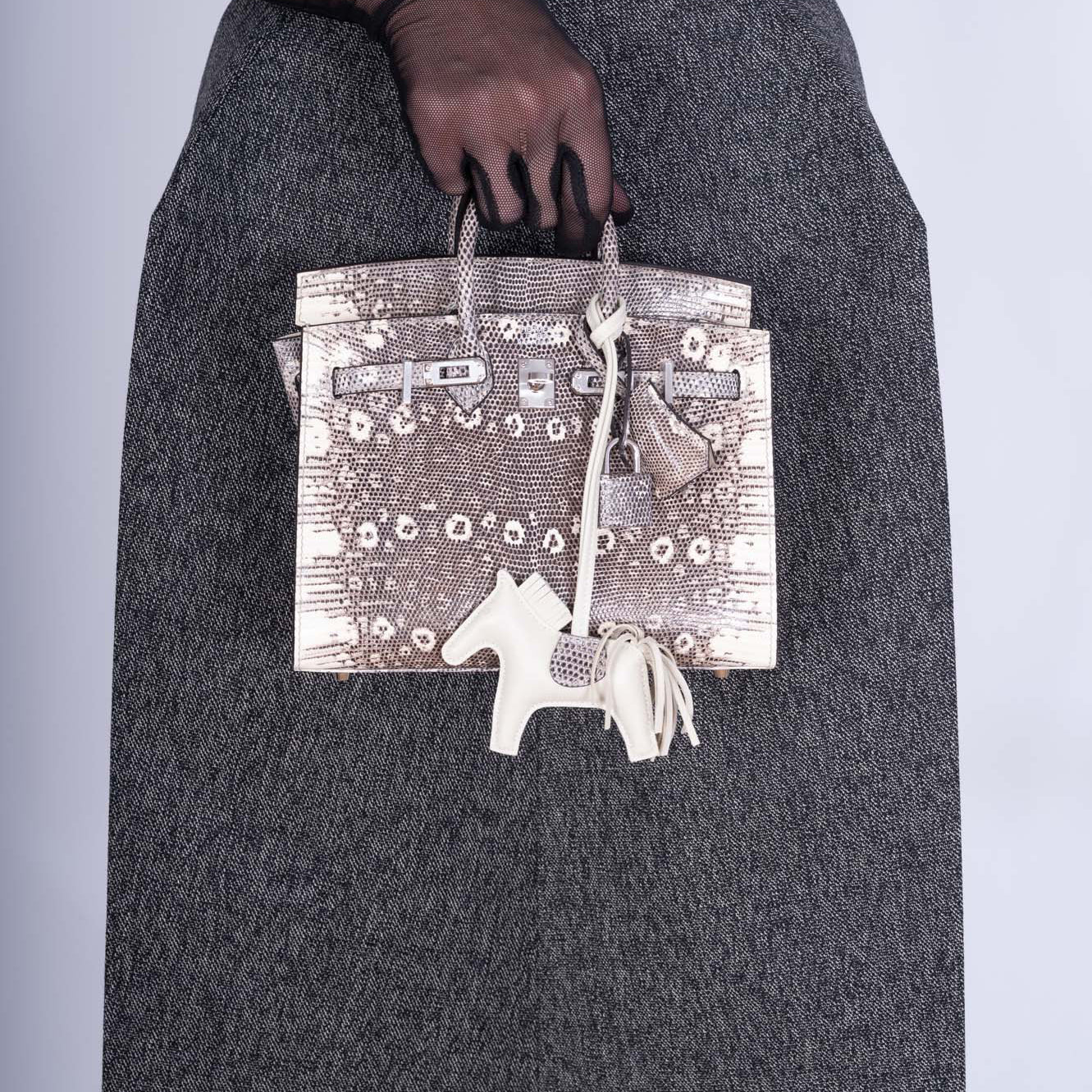 Hermès Birkin 20 Sellier Ombré Varanus Salvator Lizard Palladium Hardware