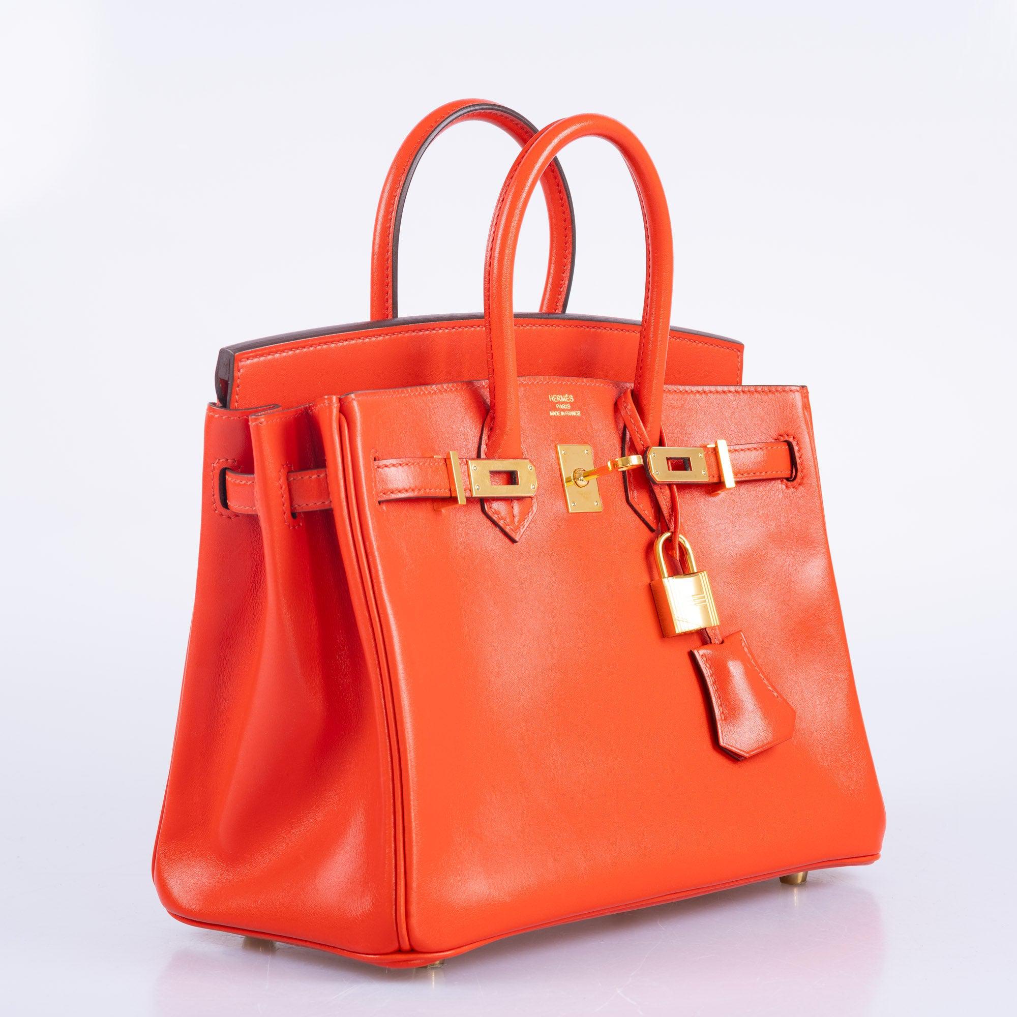 Hermès Birkin 25 Capucine Tadelakt leather Gold Hardware