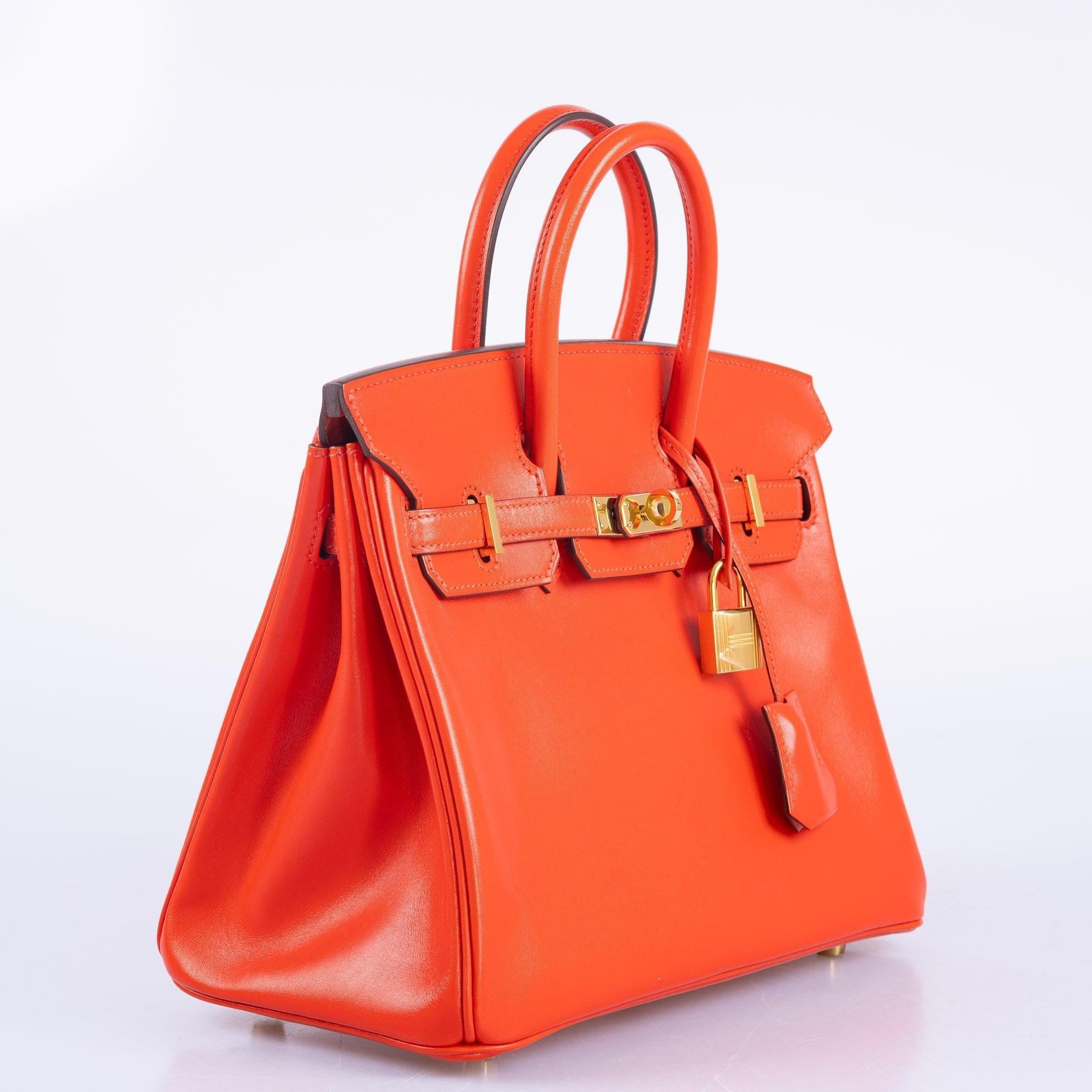Hermès Birkin 25 Capucine Tadelakt leather Gold Hardware