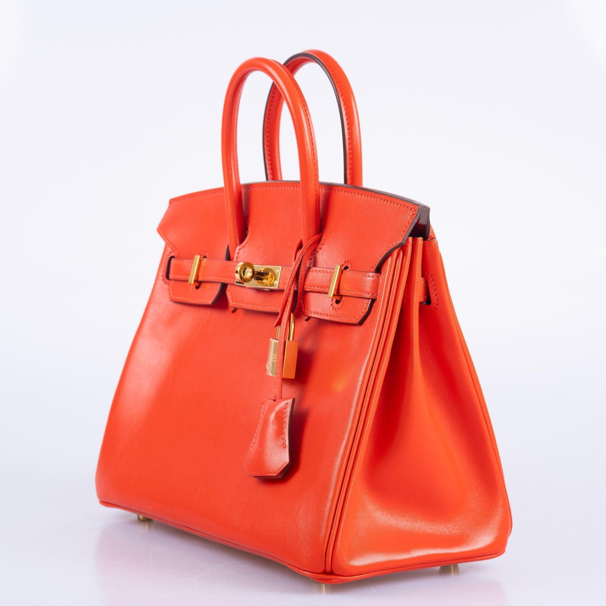Hermès Birkin 25 Capucine Tadelakt leather Gold Hardware