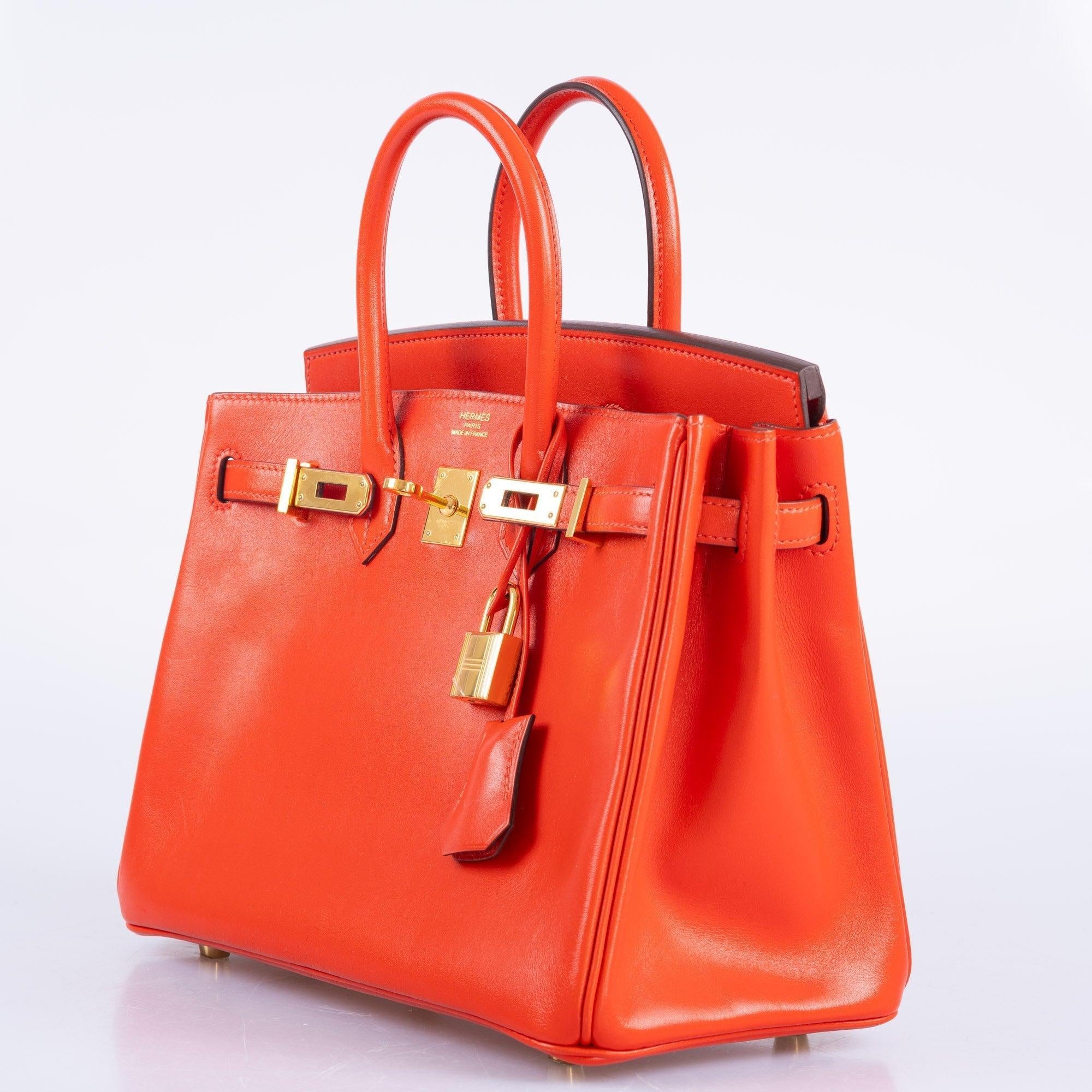 Hermès Birkin 25 Capucine Tadelakt leather Gold Hardware