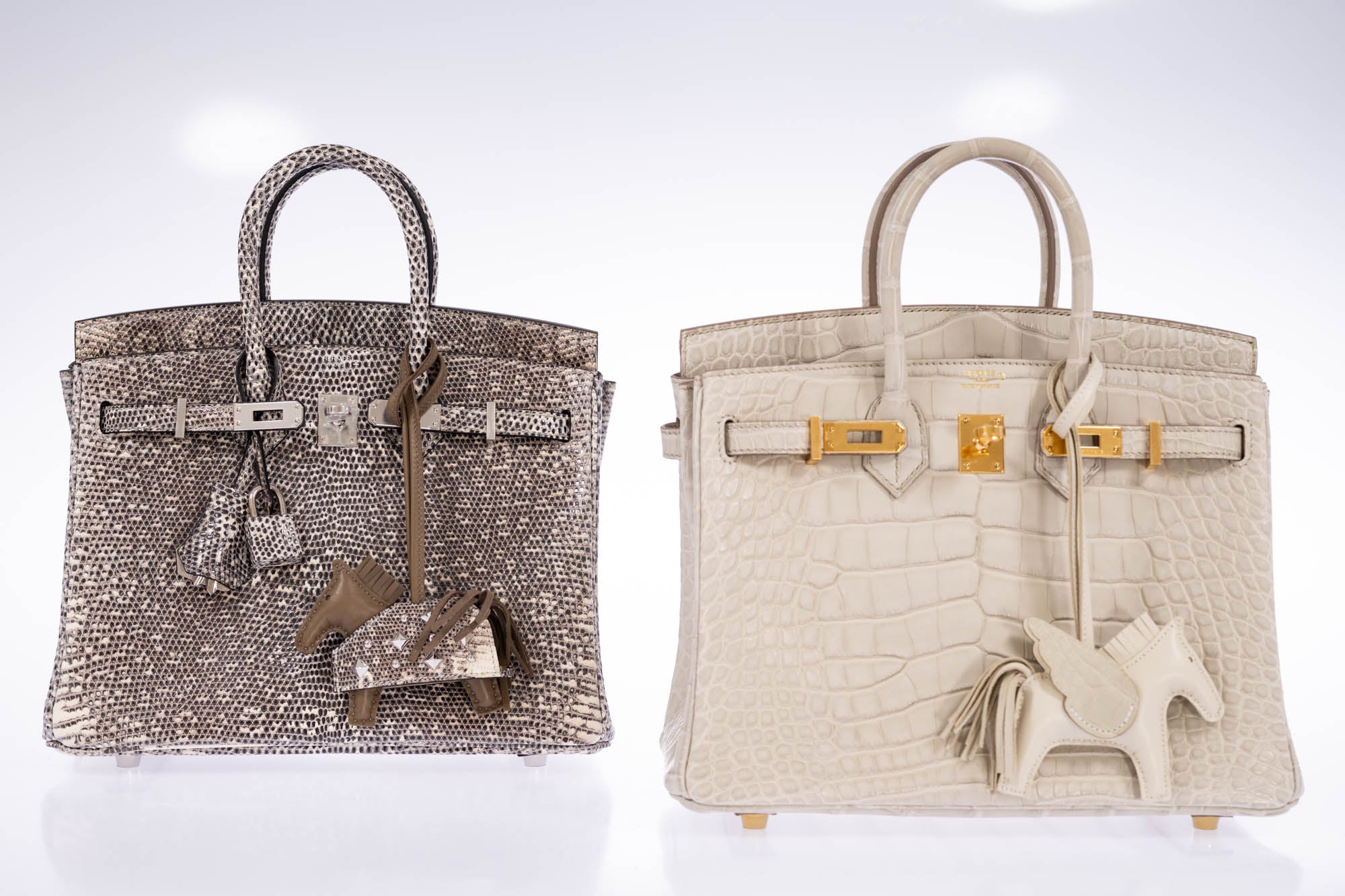 Hermès Birkin 25 Ombré Salvator Lizard Palladium Hardware