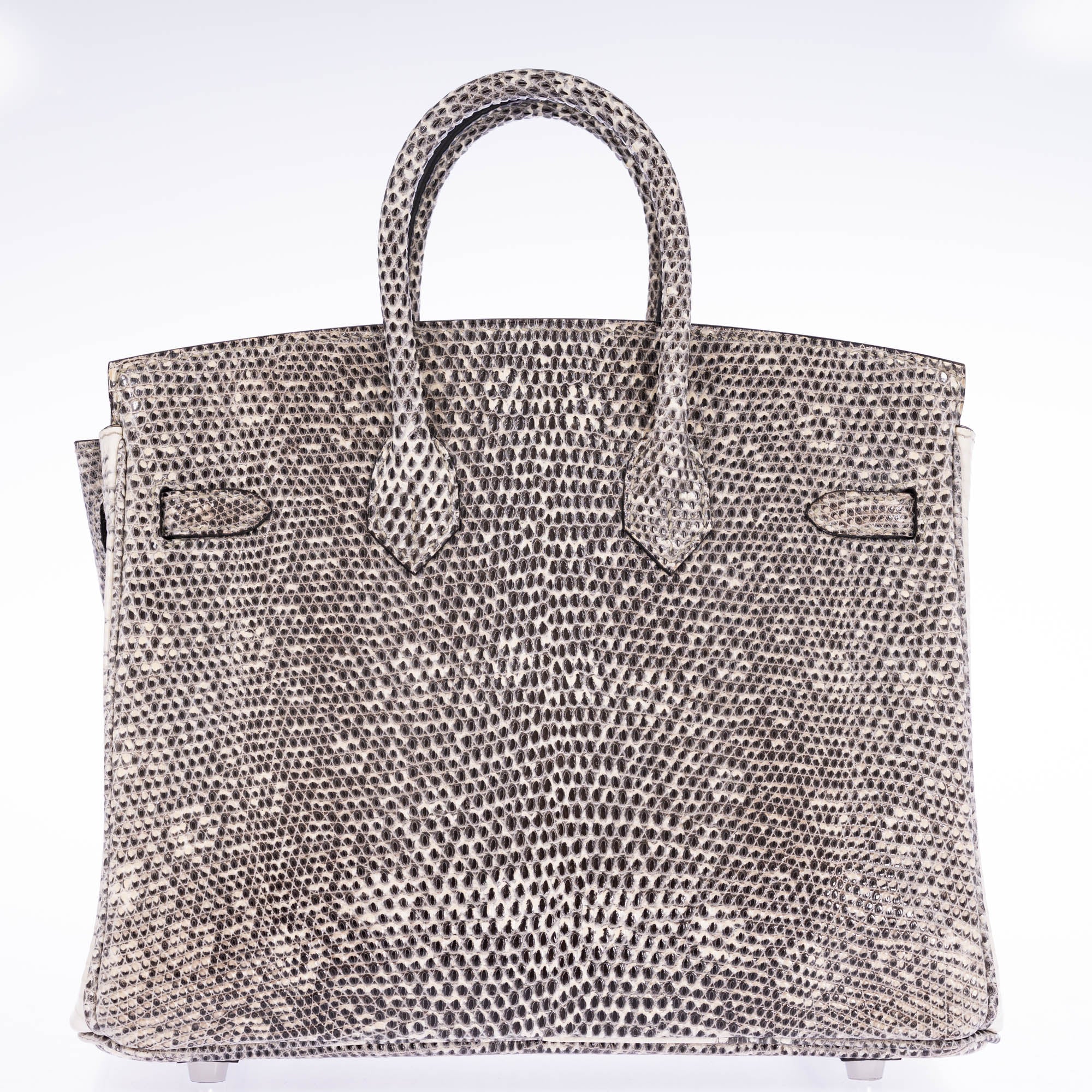 Hermès Birkin 25 Ombré Salvator Lizard Palladium Hardware