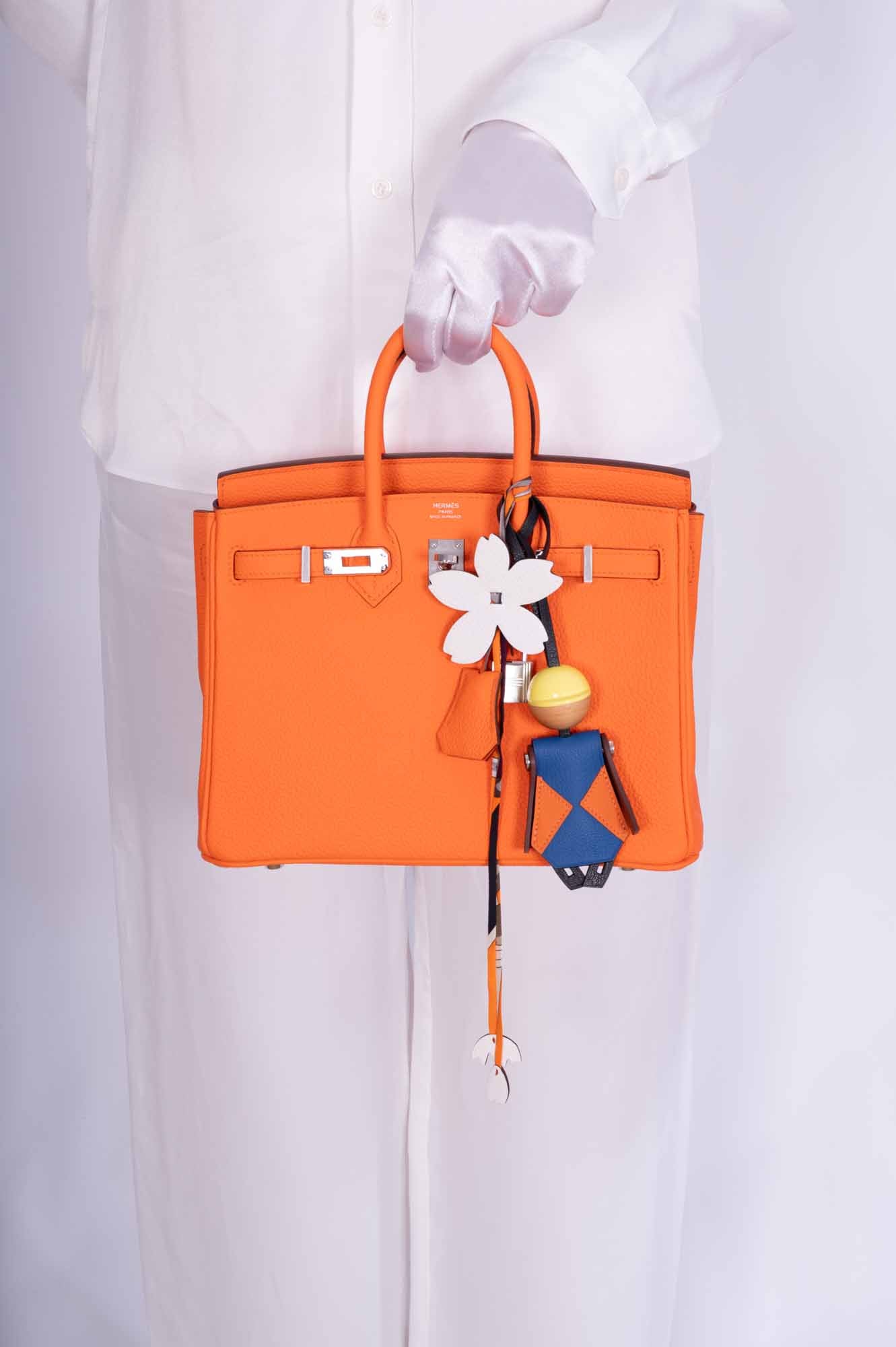 Hermès Birkin 25 Orange Minium Togo Palladium Hardware