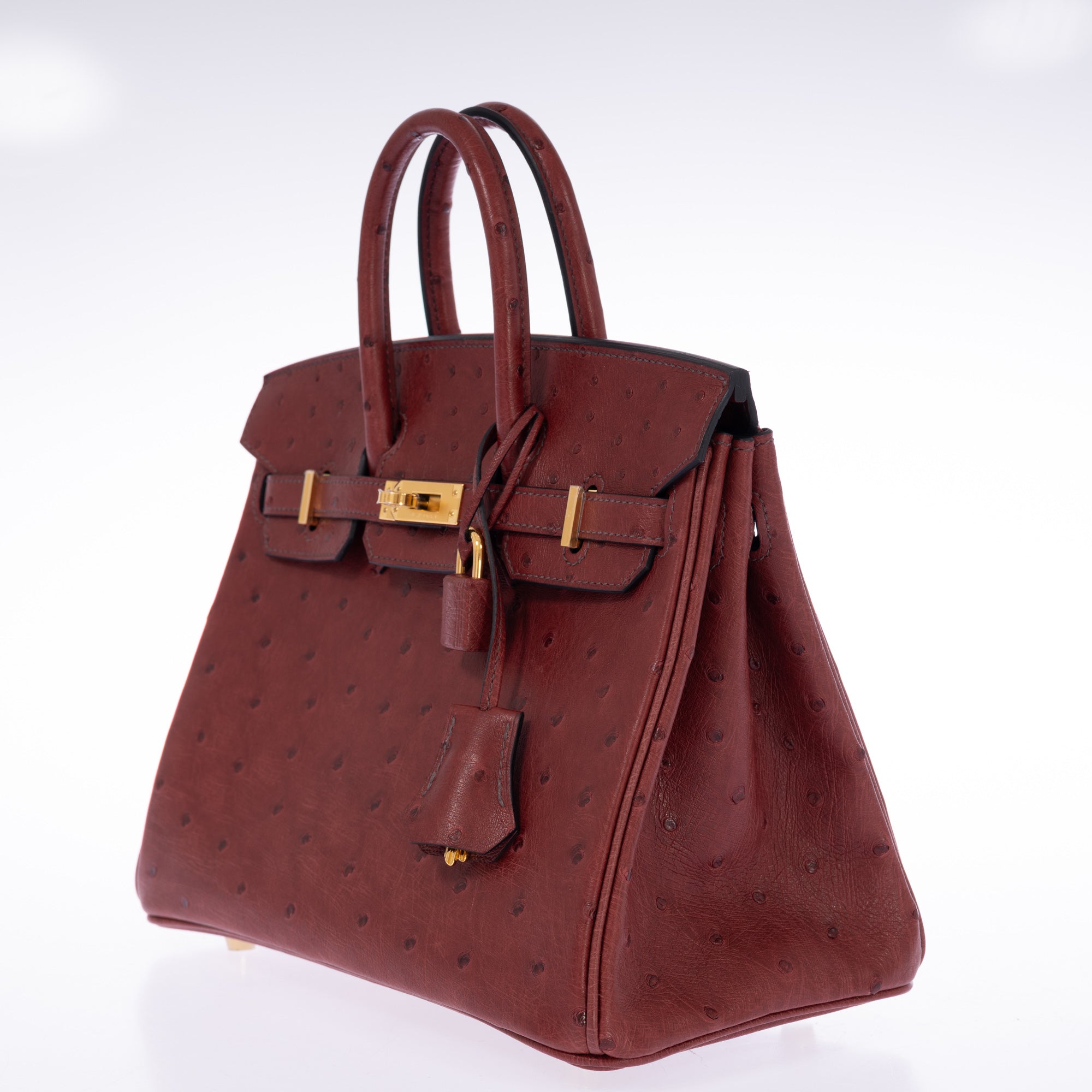 Hermès Birkin 25 Rouge H Ostrich Retourné Gold Hardware