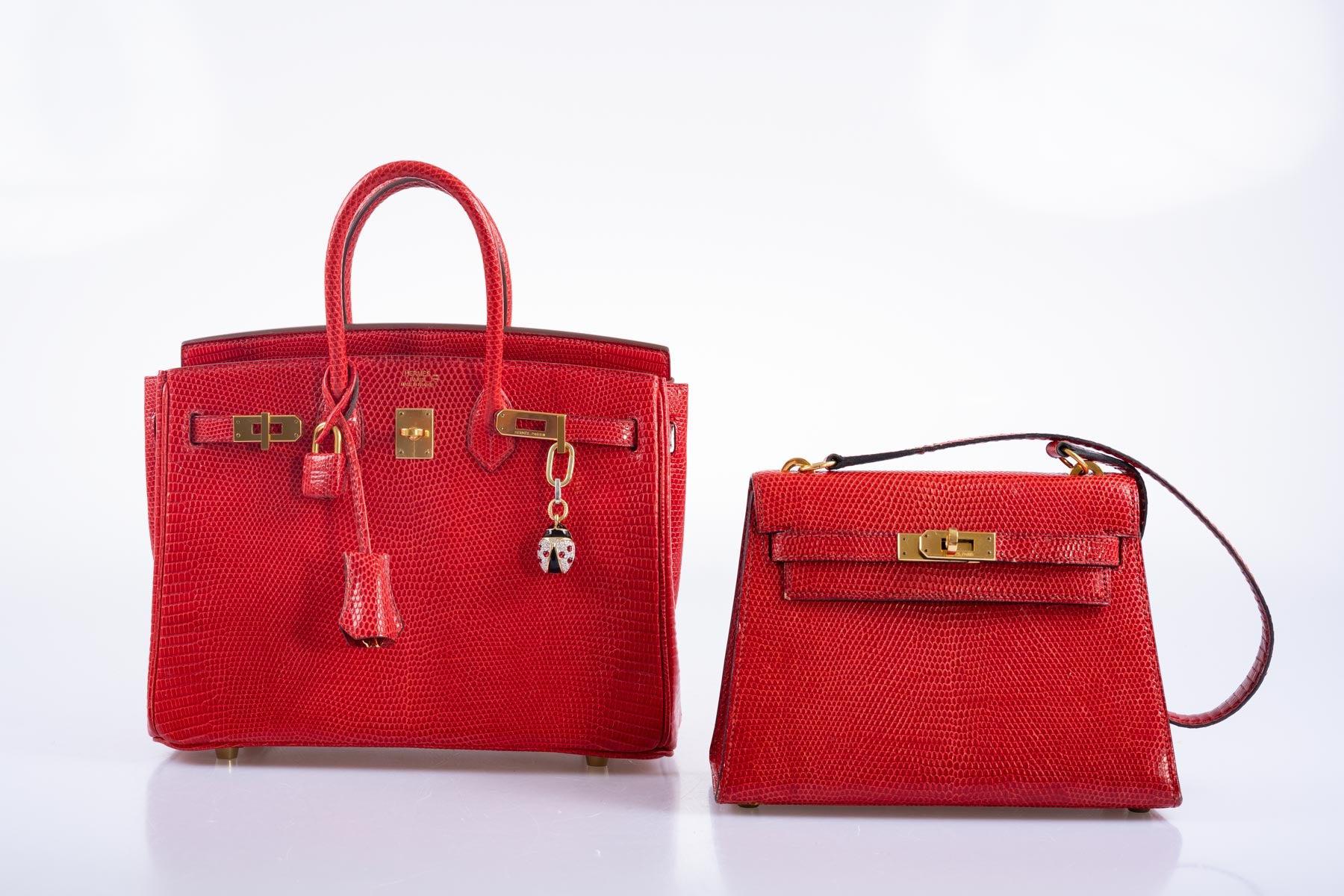 Hermès Birkin 25 Rouge Vif Salvator Lizard Gold Hardware