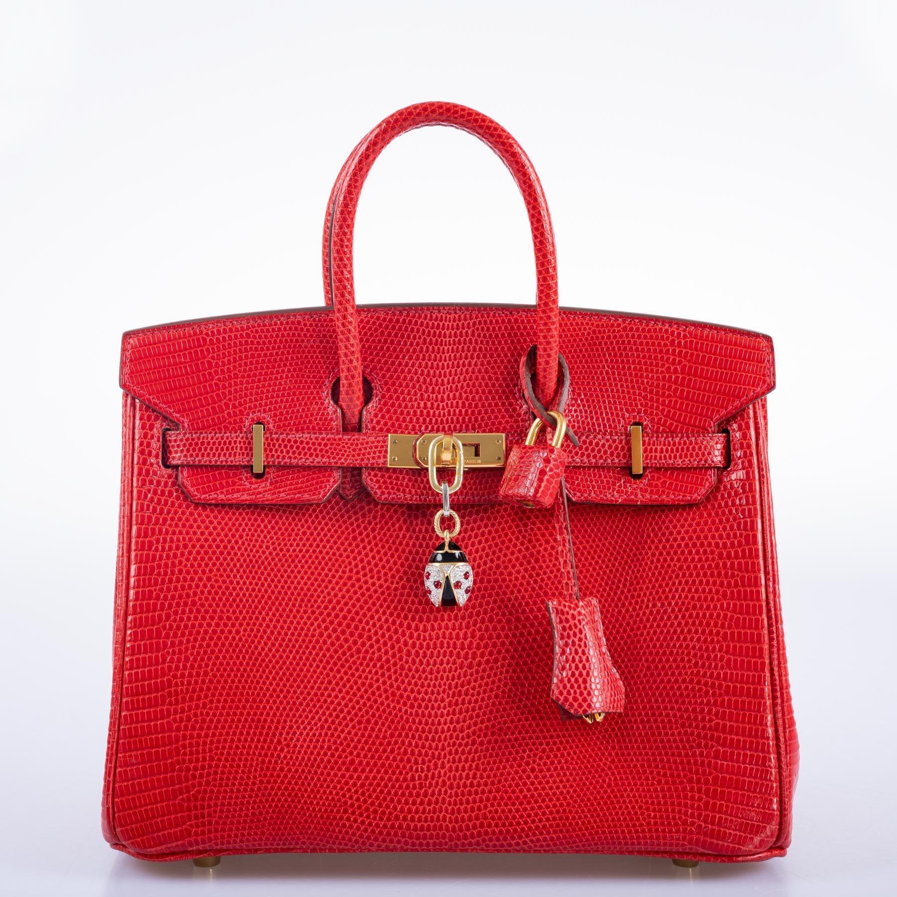 Hermès Birkin 25 Rouge Vif Salvator Lizard Gold Hardware