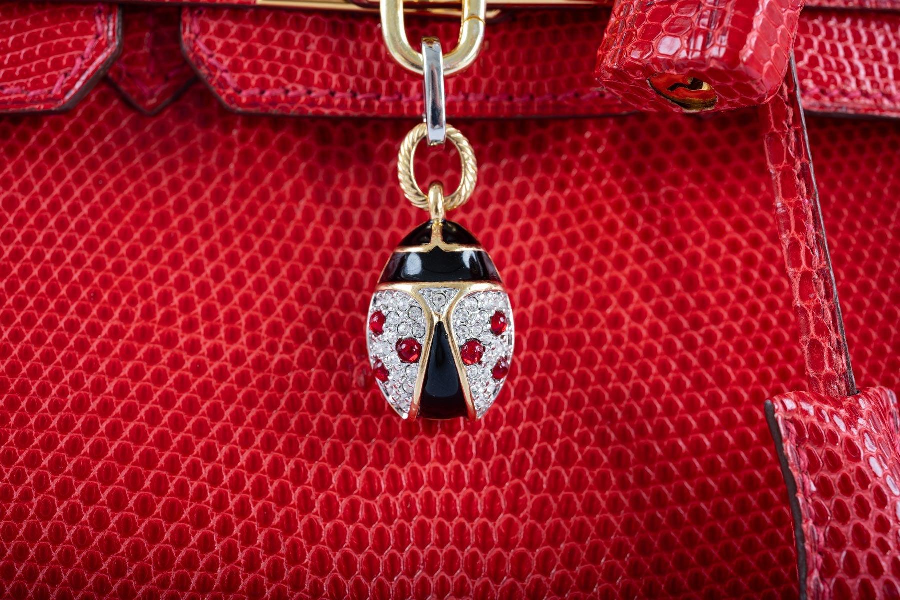 Hermès Birkin 25 Rouge Vif Salvator Lizard Gold Hardware
