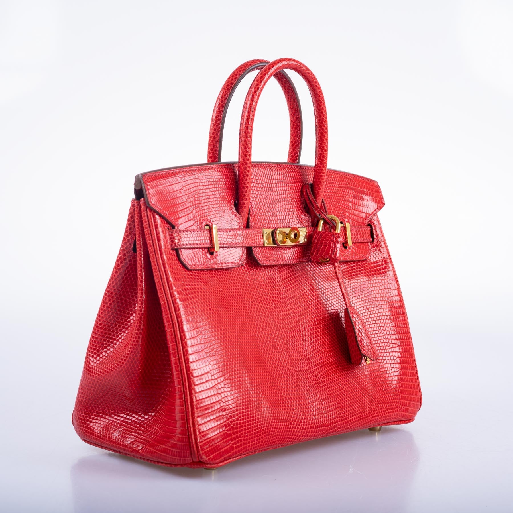 Hermès Birkin 25 Rouge Vif Salvator Lizard Gold Hardware
