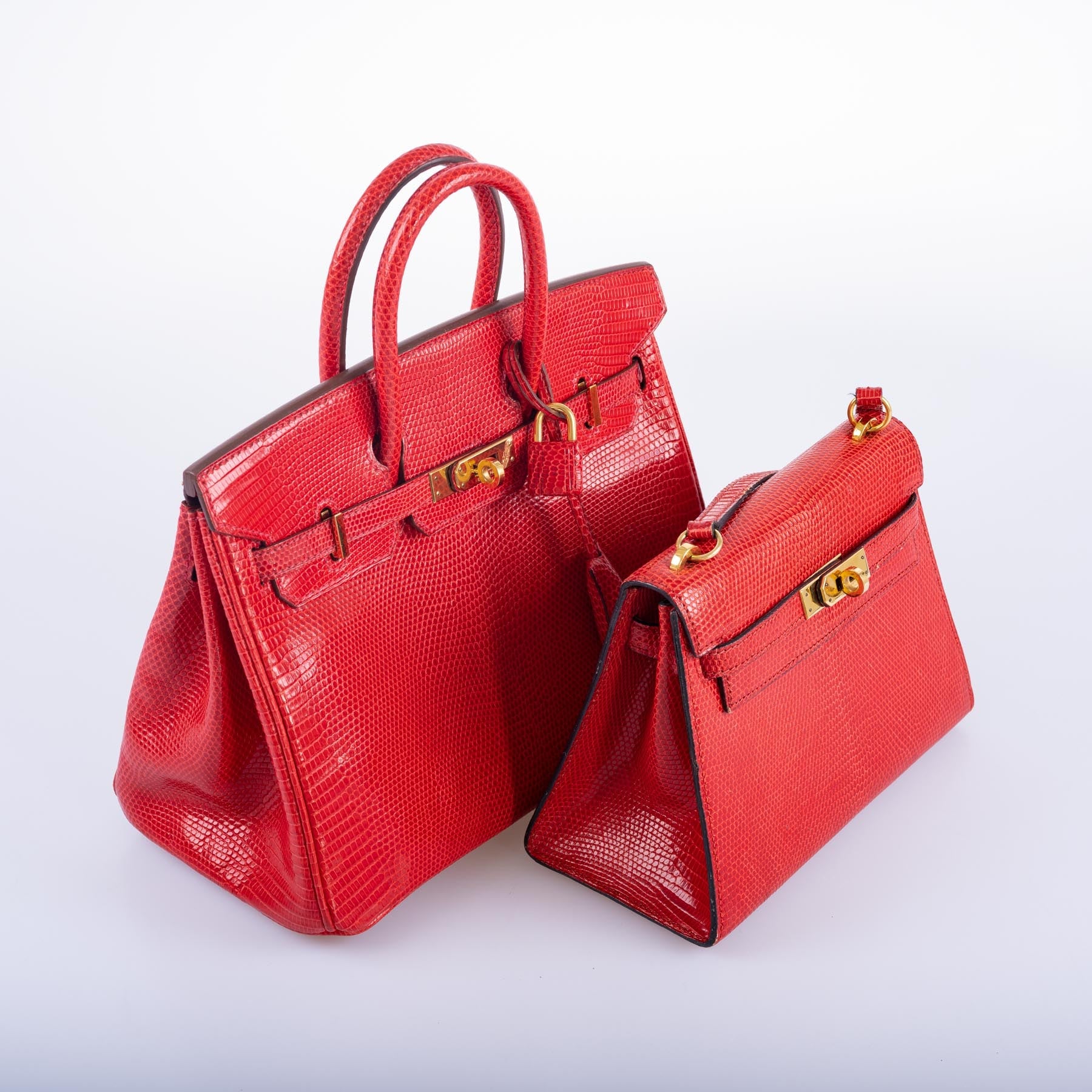 Hermès Birkin 25 Rouge Vif Salvator Lizard Gold Hardware