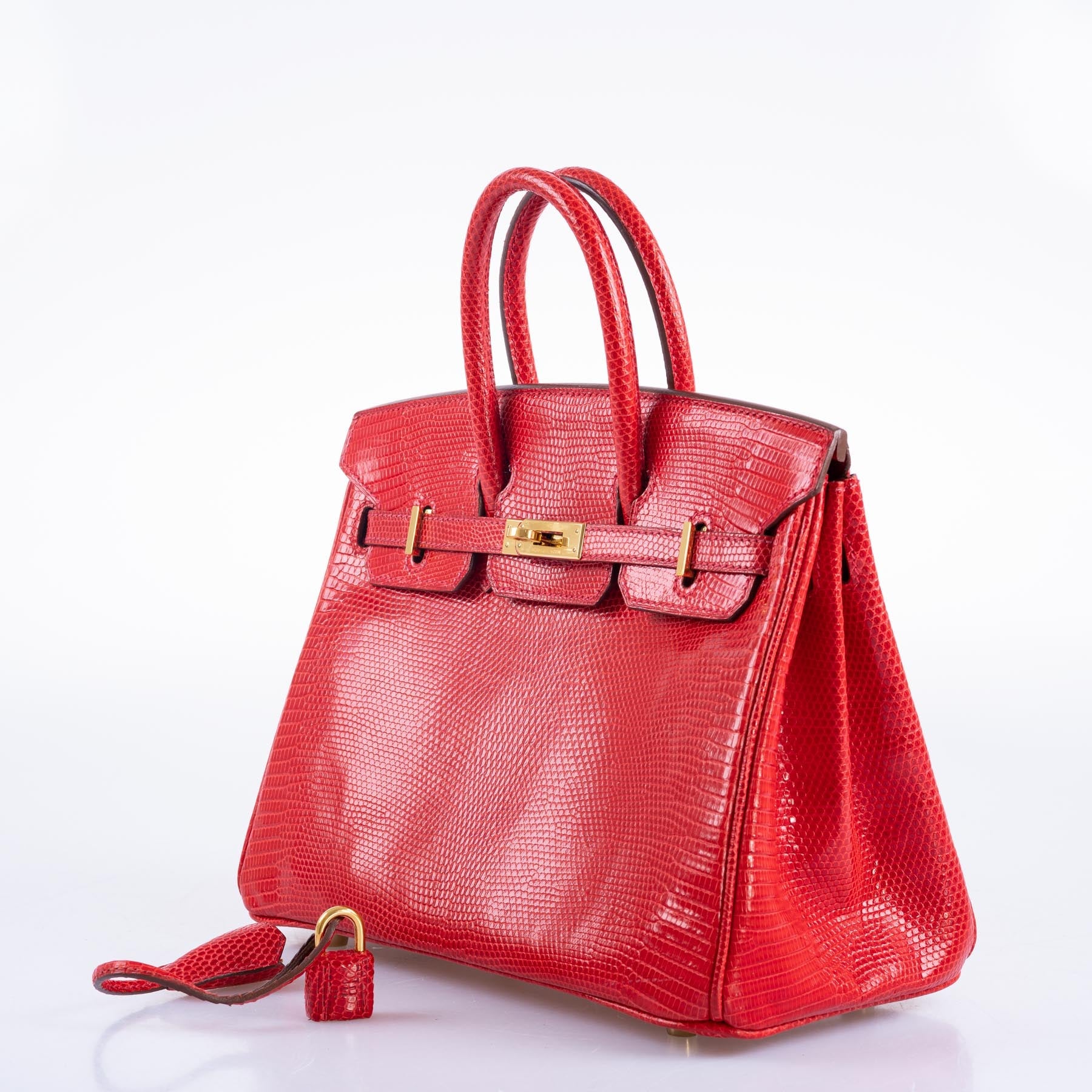 Hermès Birkin 25 Rouge Vif Salvator Lizard Gold Hardware