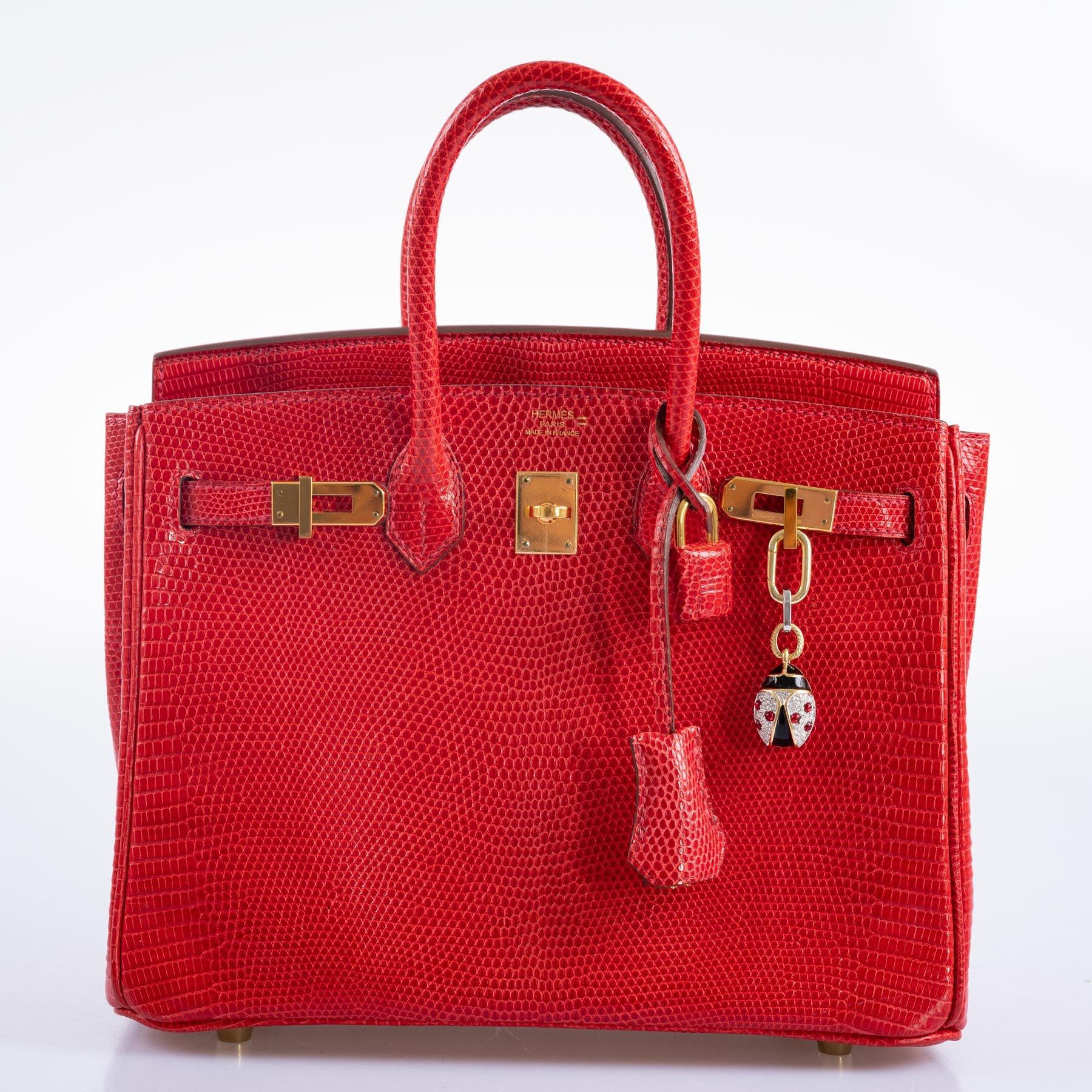 Hermès Birkin 25 Rouge Vif Salvator Lizard Gold Hardware