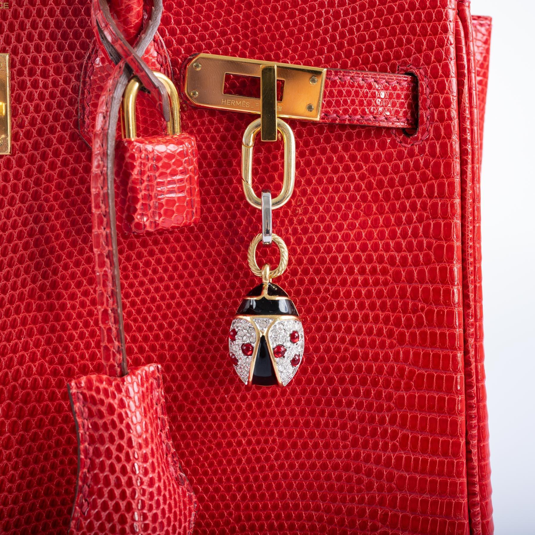 Hermès Birkin 25 Rouge Vif Salvator Lizard Gold Hardware