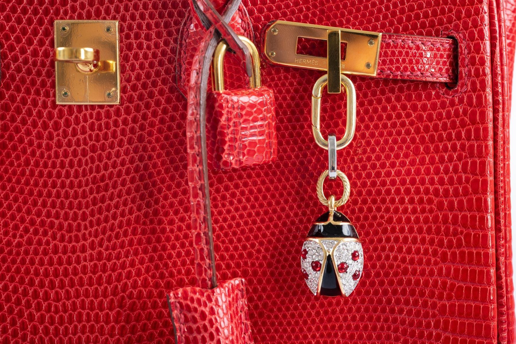 Hermès Birkin 25 Rouge Vif Salvator Lizard Gold Hardware