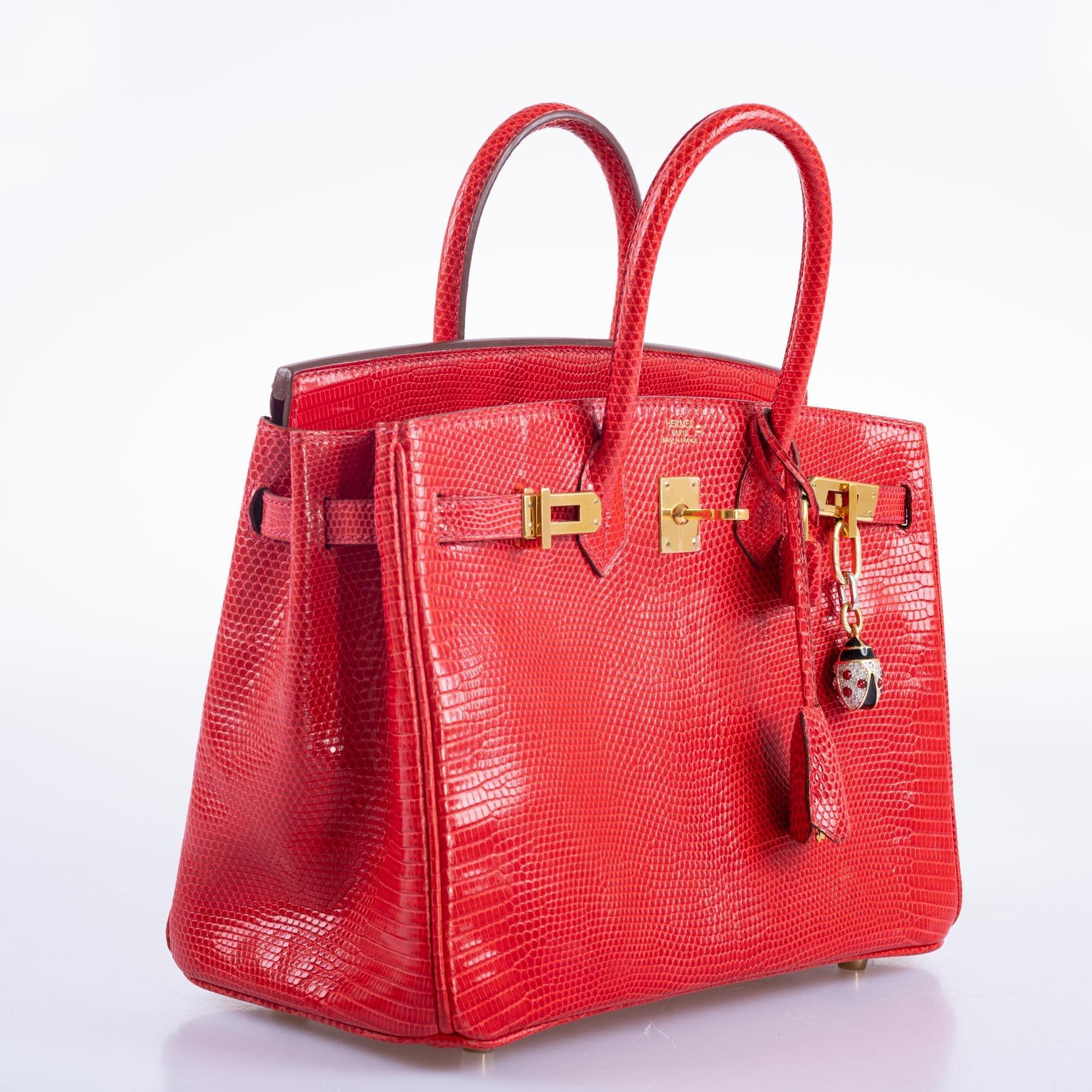 Hermès Birkin 25 Rouge Vif Salvator Lizard Gold Hardware