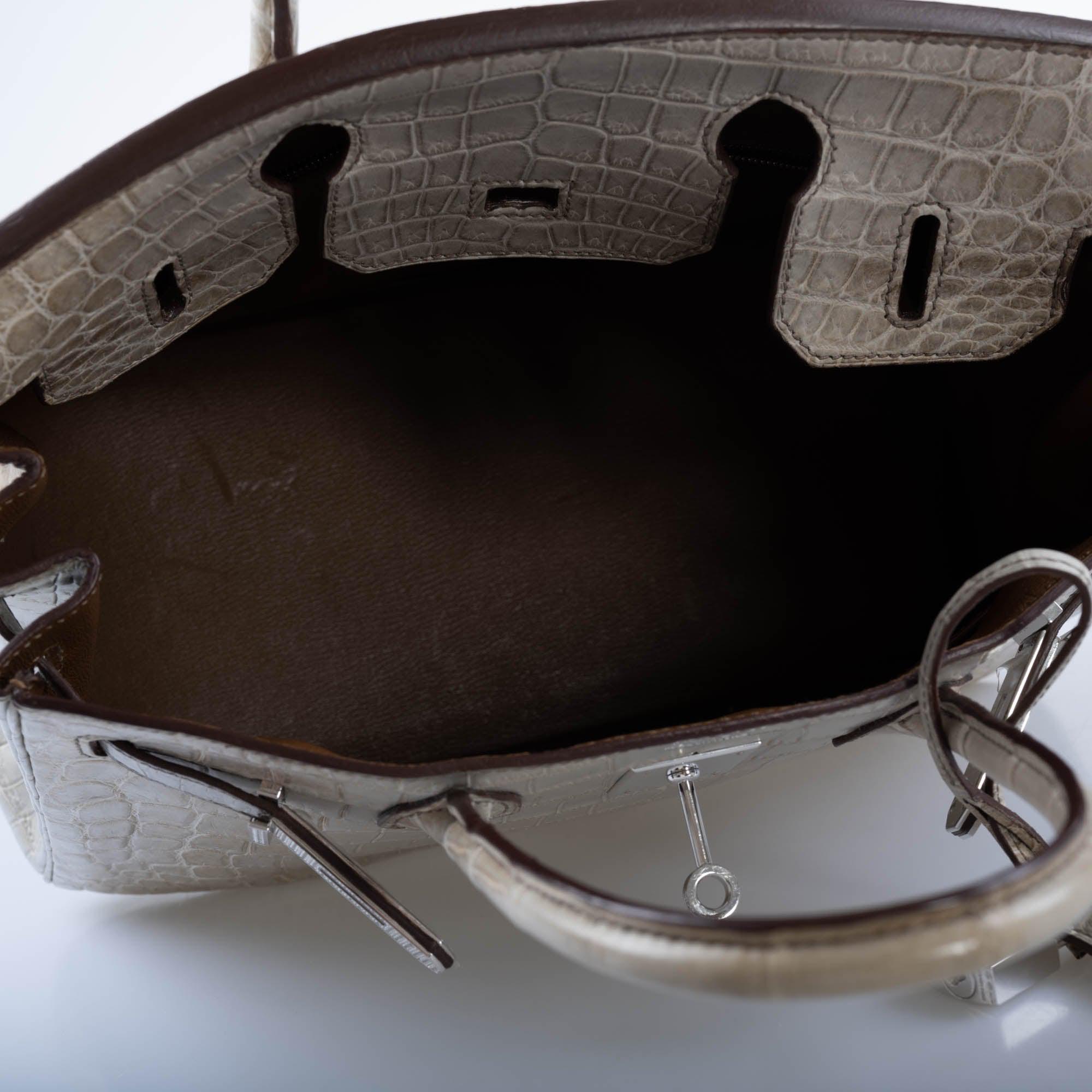 Hermès Birkin 30 "Gris Cendre" Himalaya Niloticus Crocodile 18K White Gold & Diamond Hardware