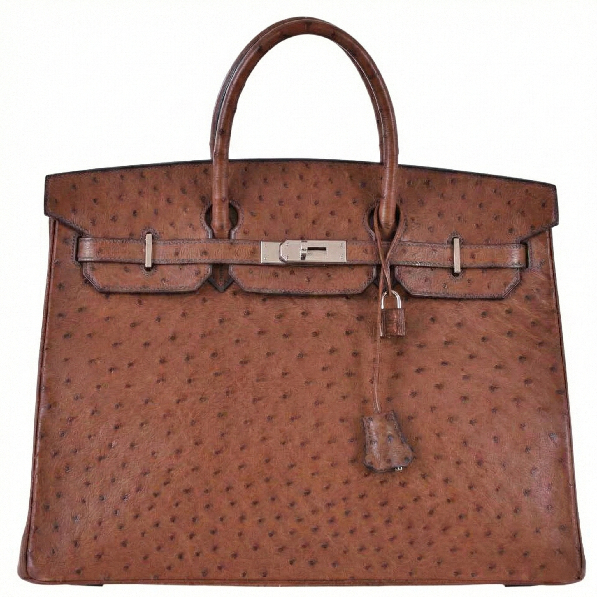 Hermès Birkin 40 Noisette Ostrich Palladium Hardware