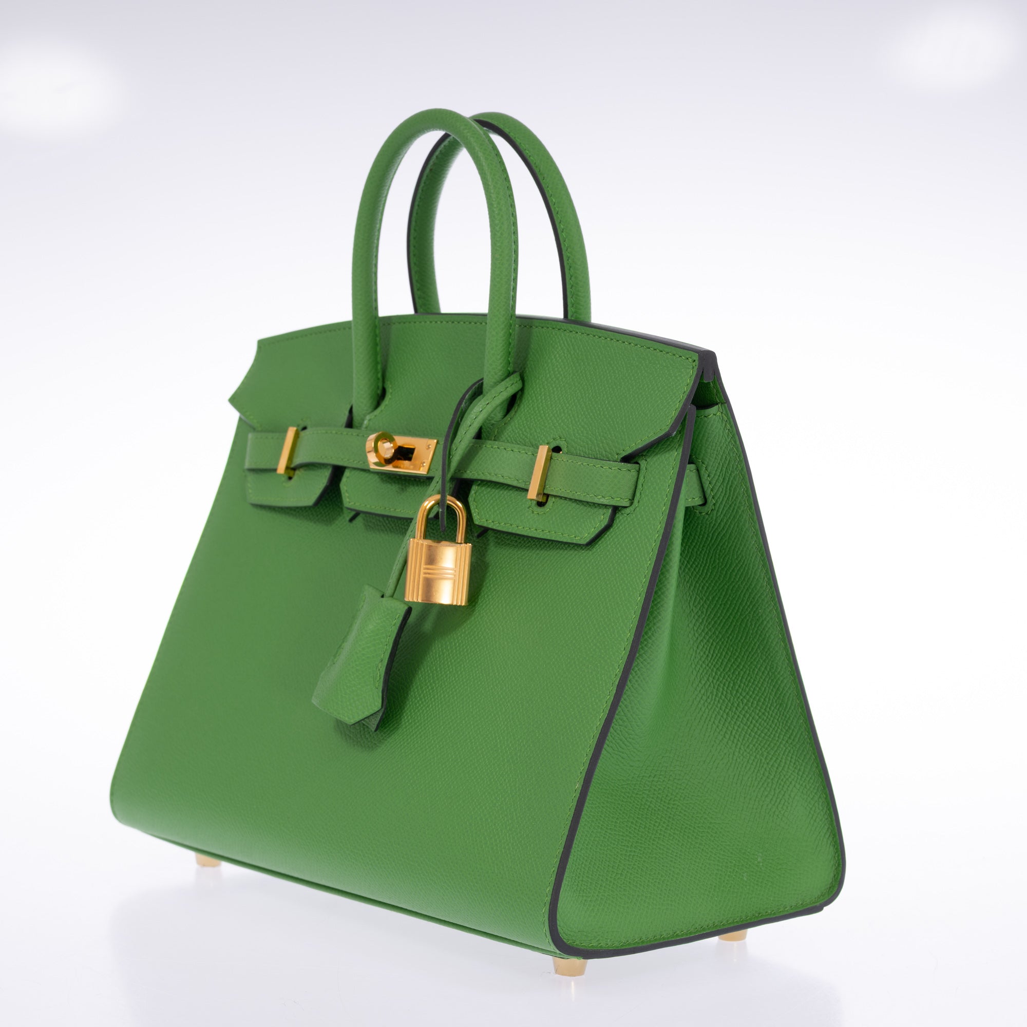 Hermès Birkin Sellier 25 Vert Yucca Epsom Gold Hardware