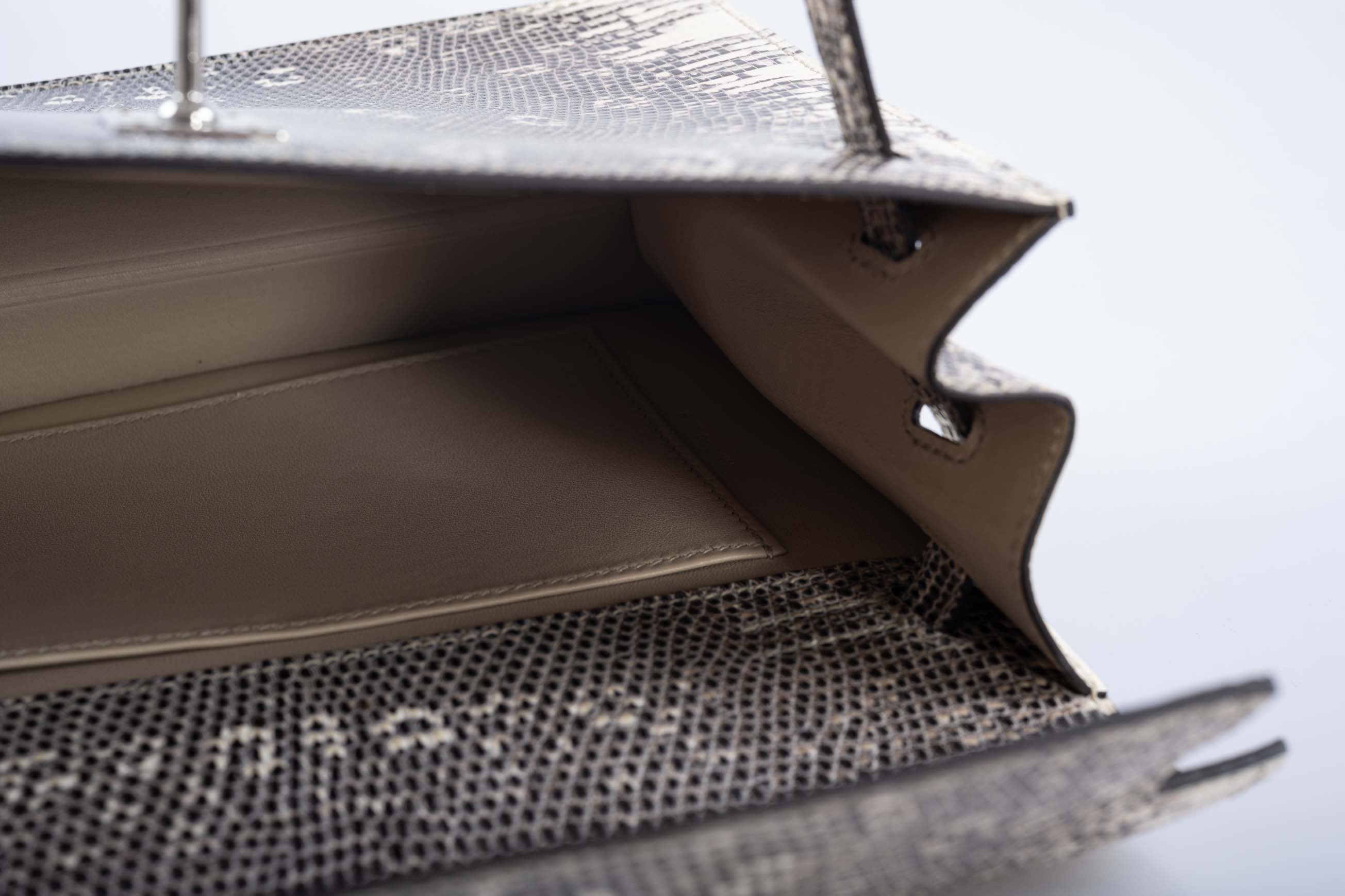 Hermès Kelly Danse II Ombré Salvator Lizard with Palladium Hardware