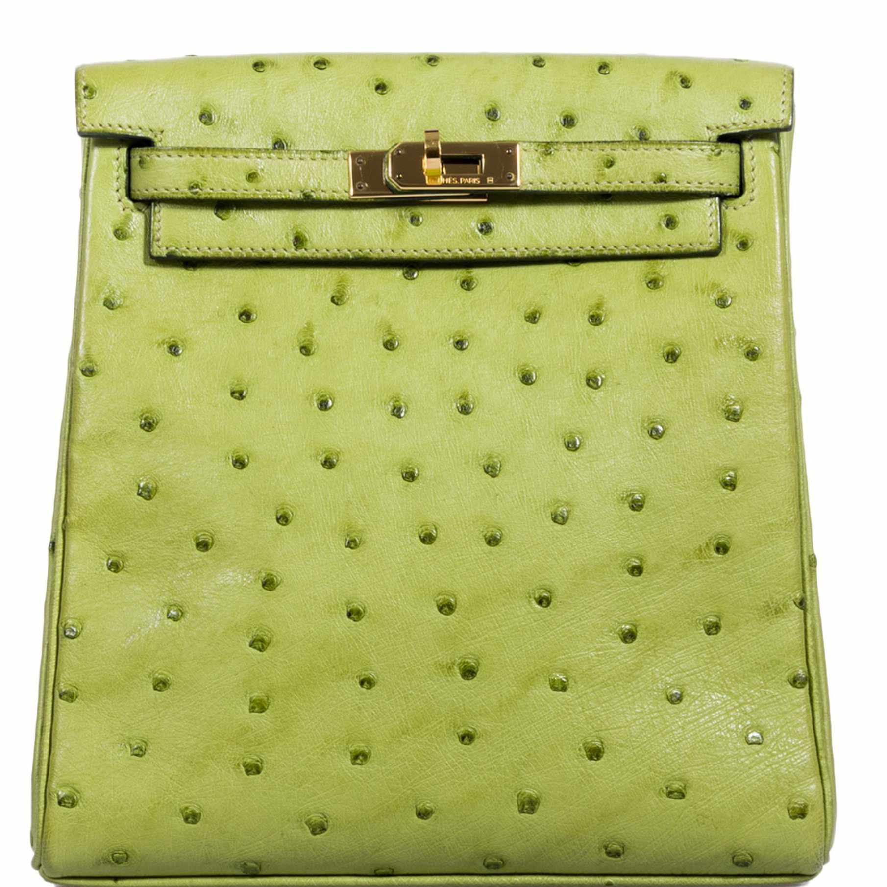 Hermès Kelly a Dos Backpack Vert Anis Ostrich Gold Hardware