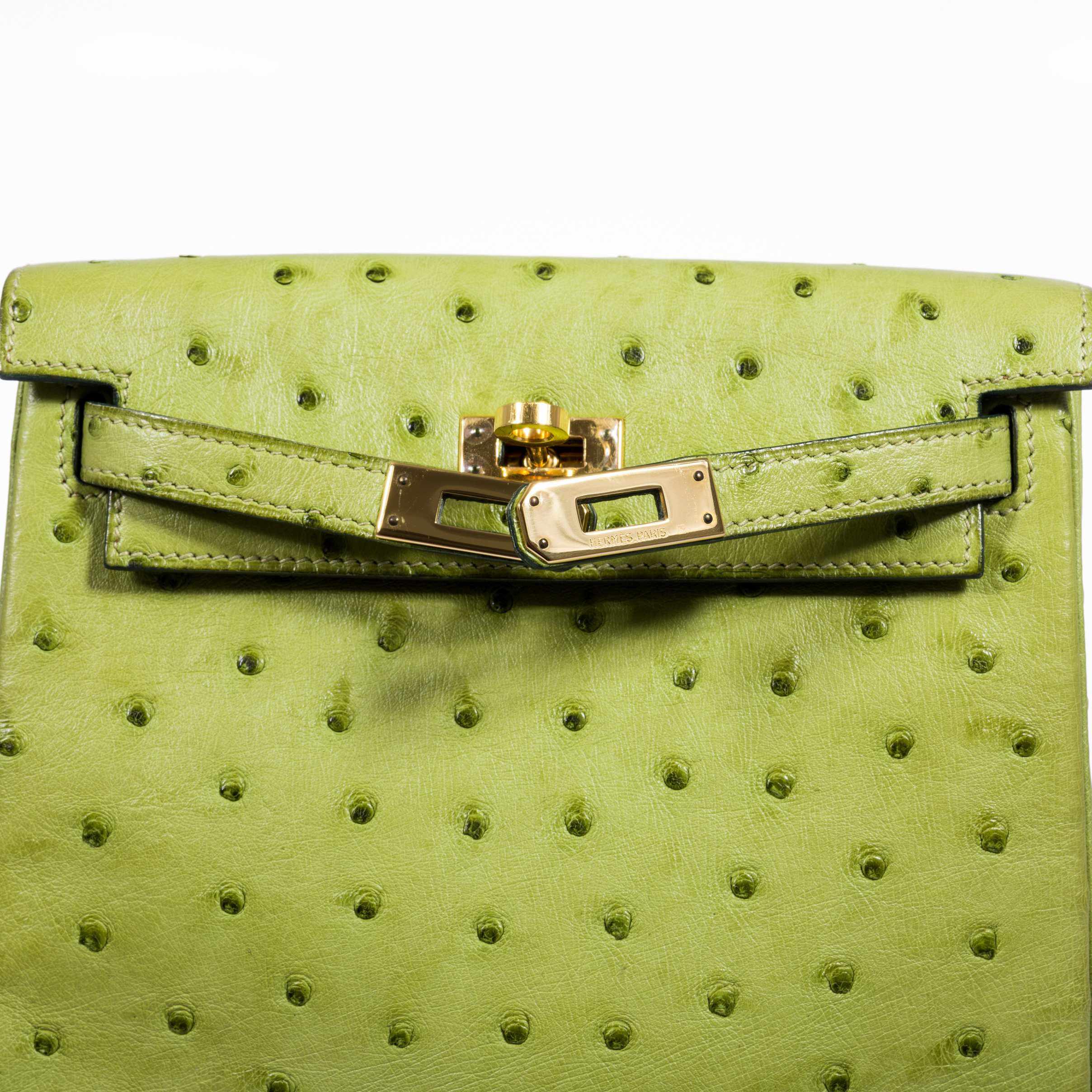 Hermès Kelly a Dos Backpack Vert Anis Ostrich Gold Hardware