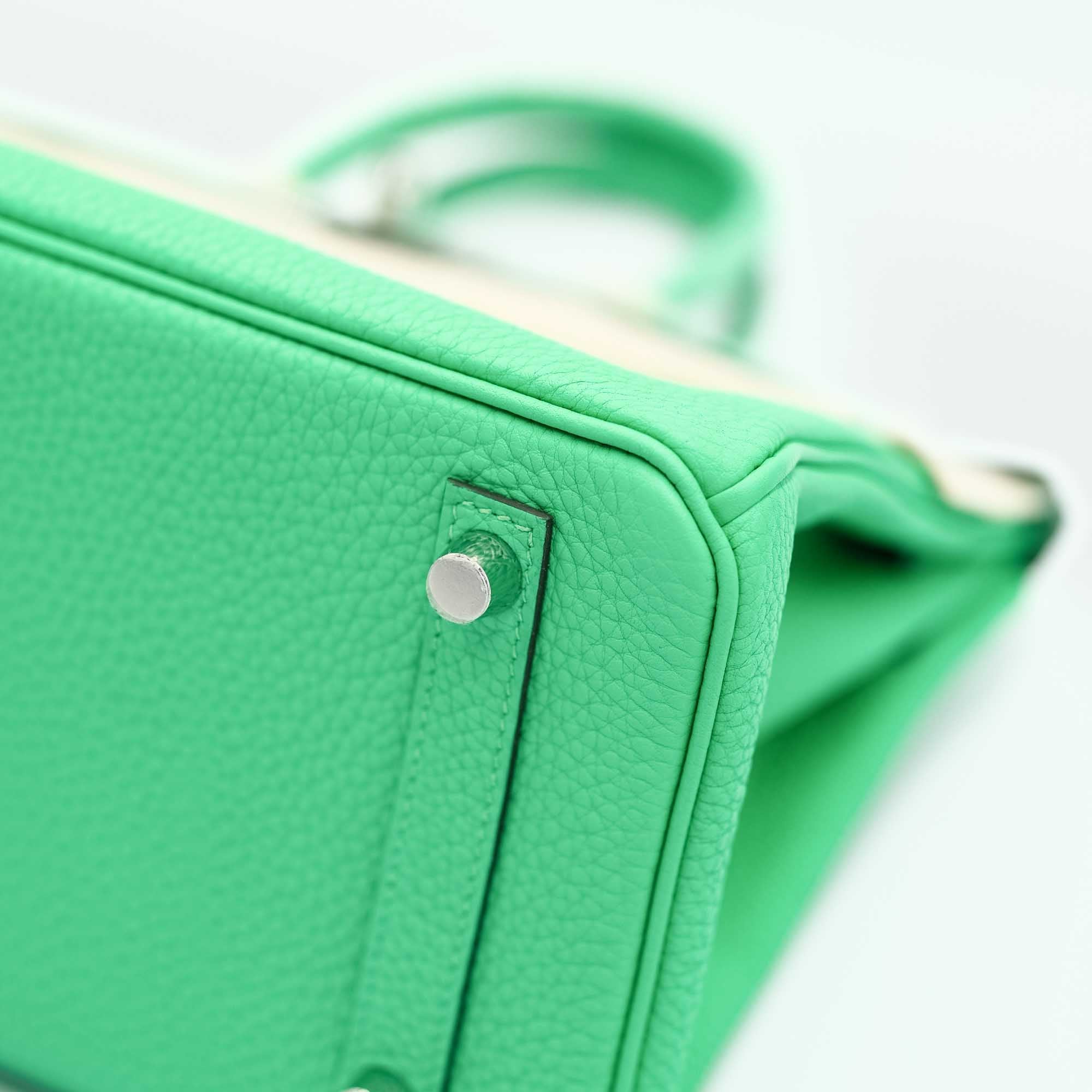 Hermès Touch Birkin 25 Vert Comics Matte Alligator and Togo Palladium Hardware