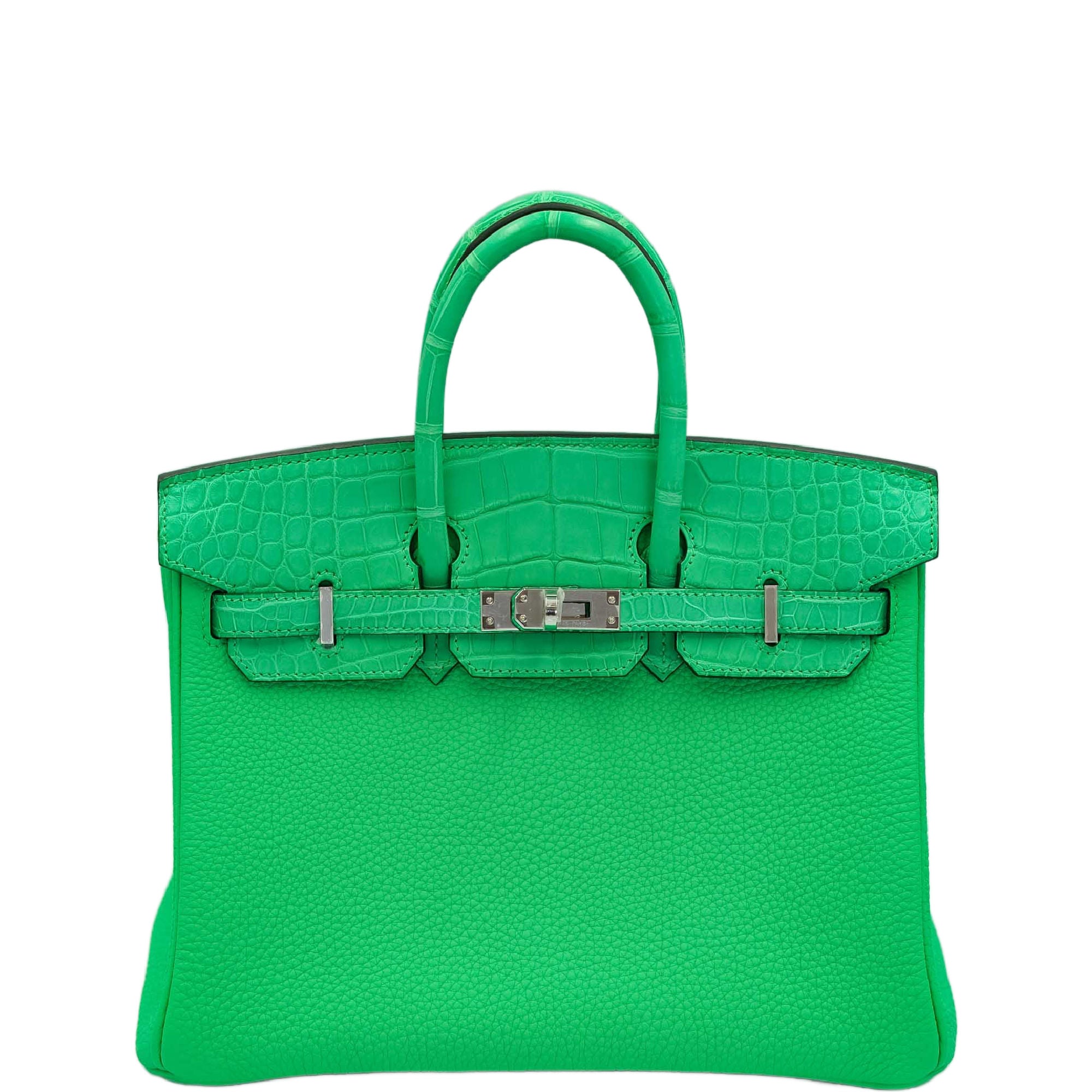 Hermès Touch Birkin 25 Vert Comics Matte Alligator and Togo Palladium Hardware