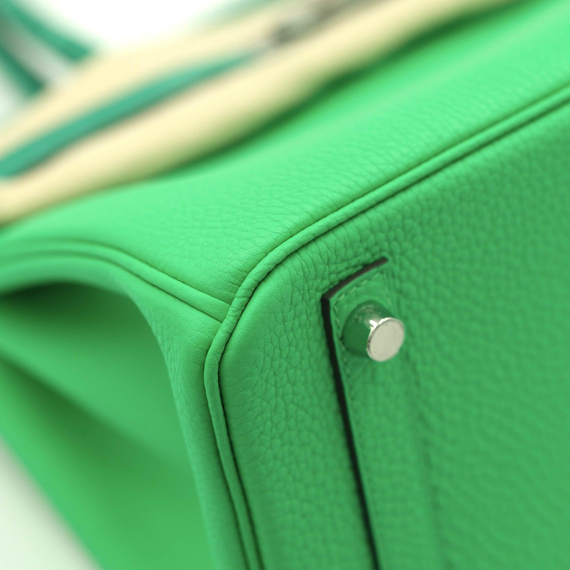 Hermès Touch Birkin 30 Vert Jade Matte Nilo Crocodile and Vert Comics Togo Palladium Hardware
