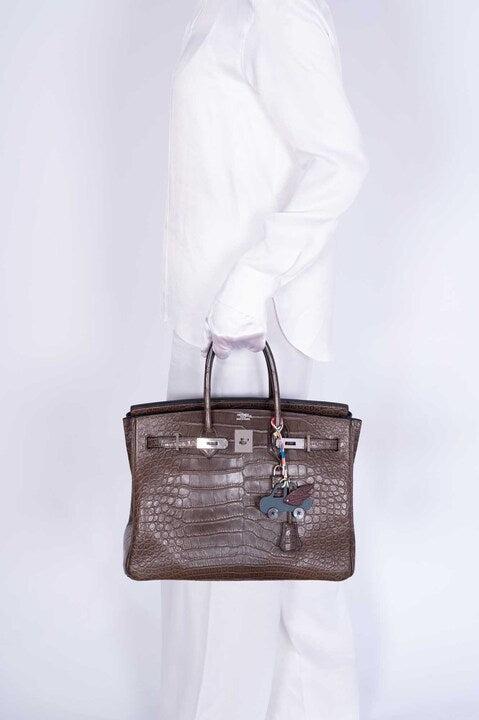 Hermès petit h Winged Car Charm Vert Amande Tog and Chocolate Alligator Mother of Pearl Buttons
