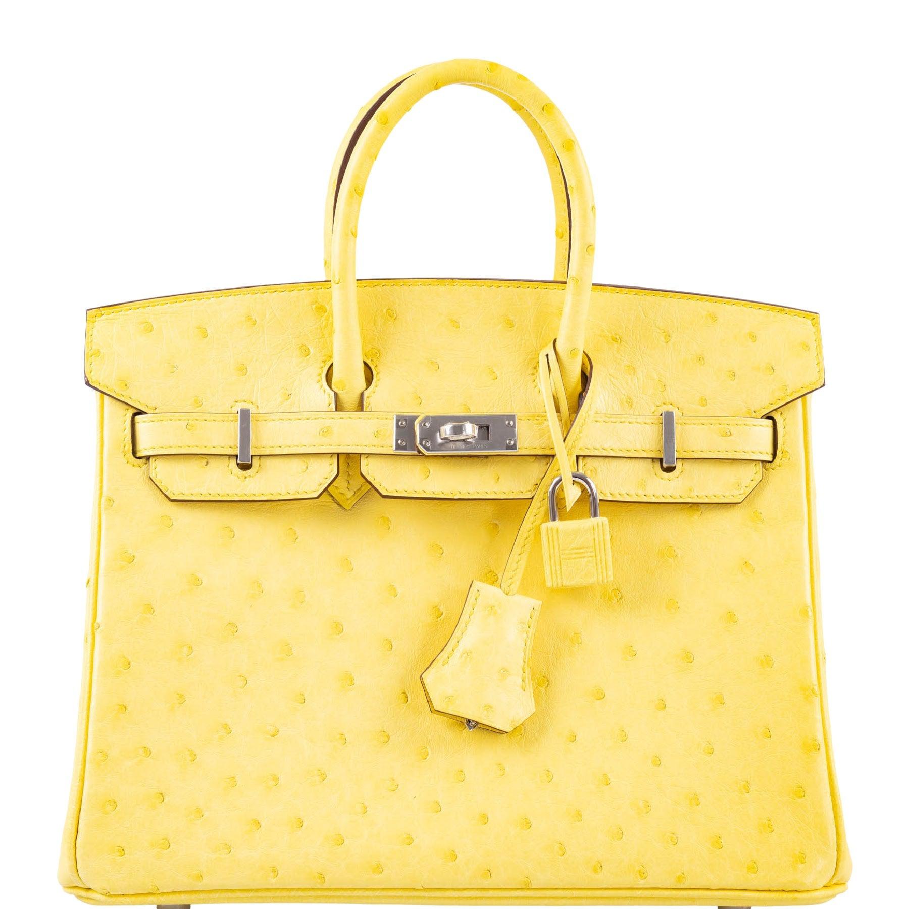 Hermes ostrich birkin on sale 25