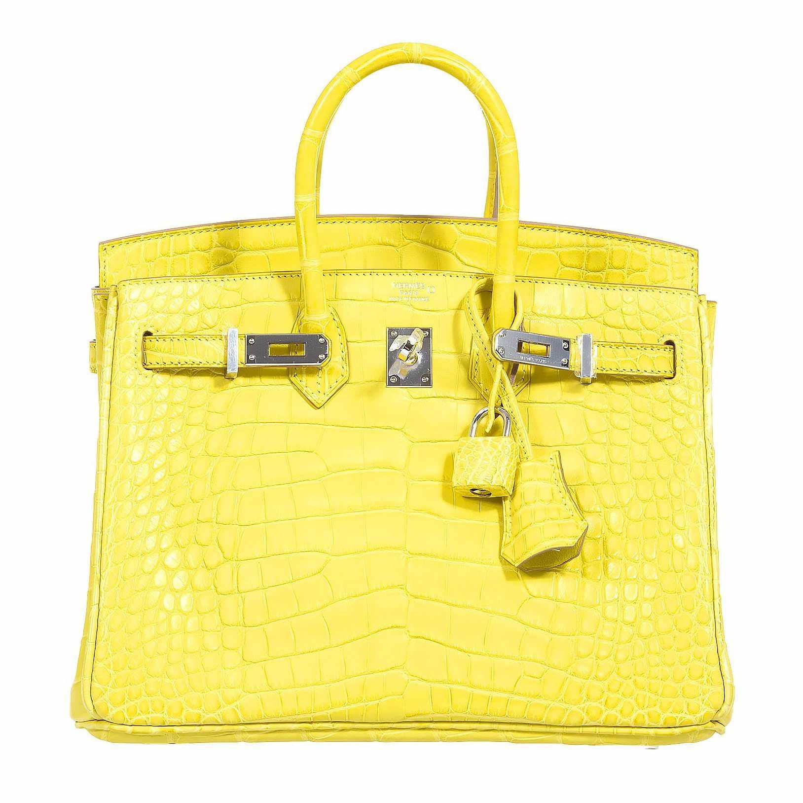 Alligator discount birkin price