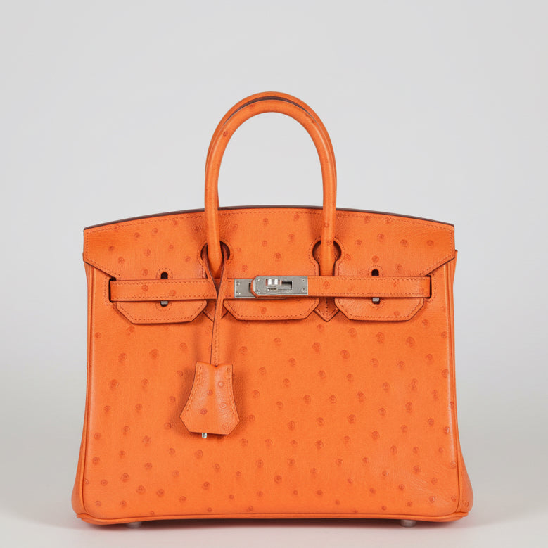 Hermes-Birkin-25-Ostrich- 