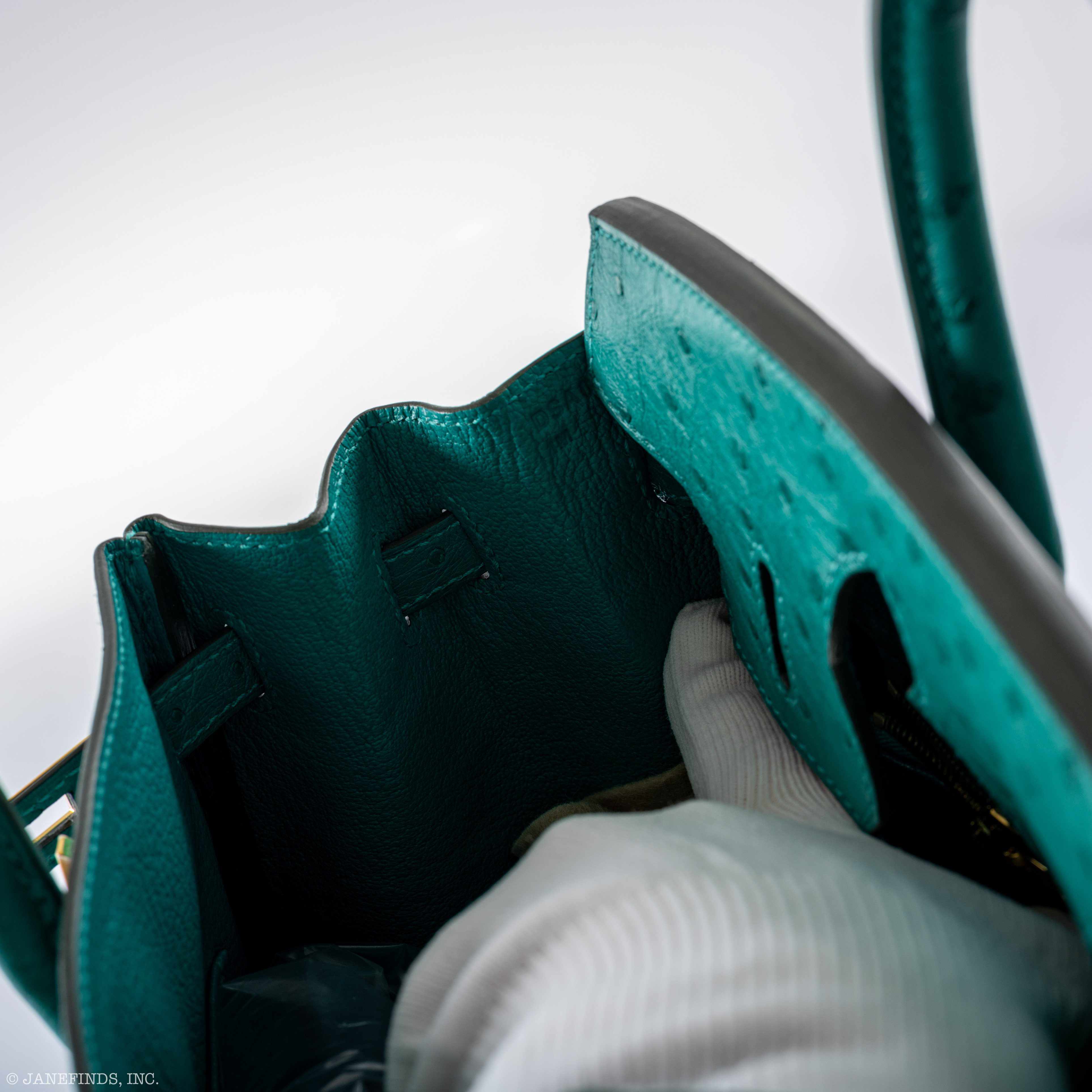 Hermès Birkin 25 Vert Verone Ostrich Gold Hardware - 2019, D