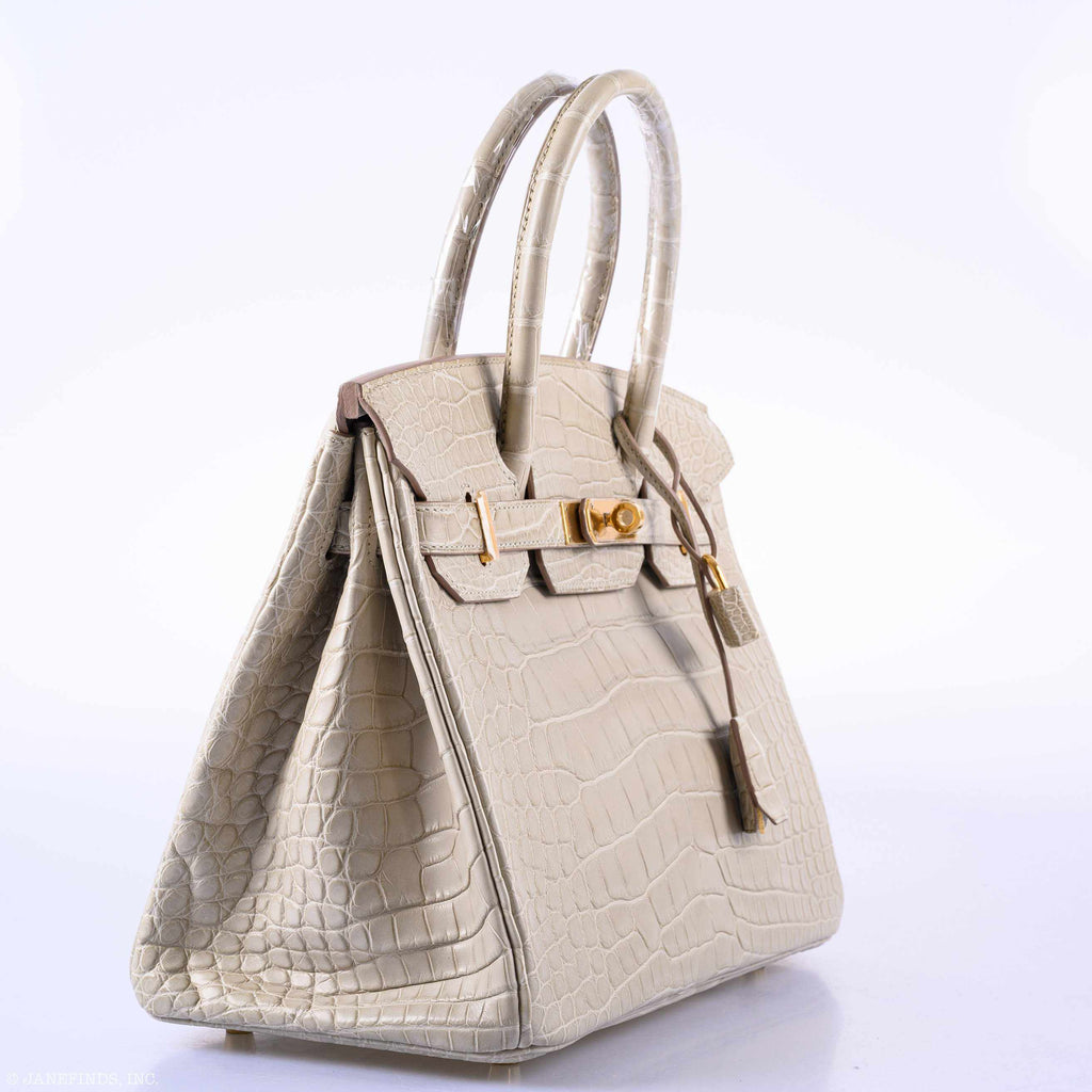 Hermes Birkin 25 Bag ck80 Pearl Grey Matte Nile Croc GHW