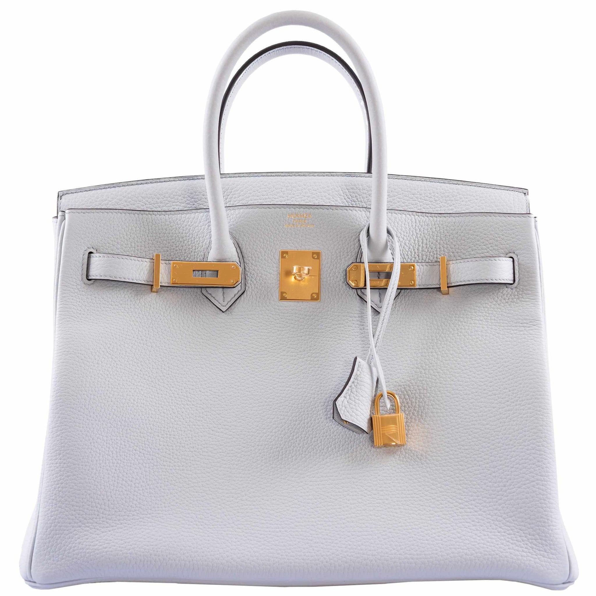Hermes Touch Kelly Handbag Menthe Togo with Lizard and Gold