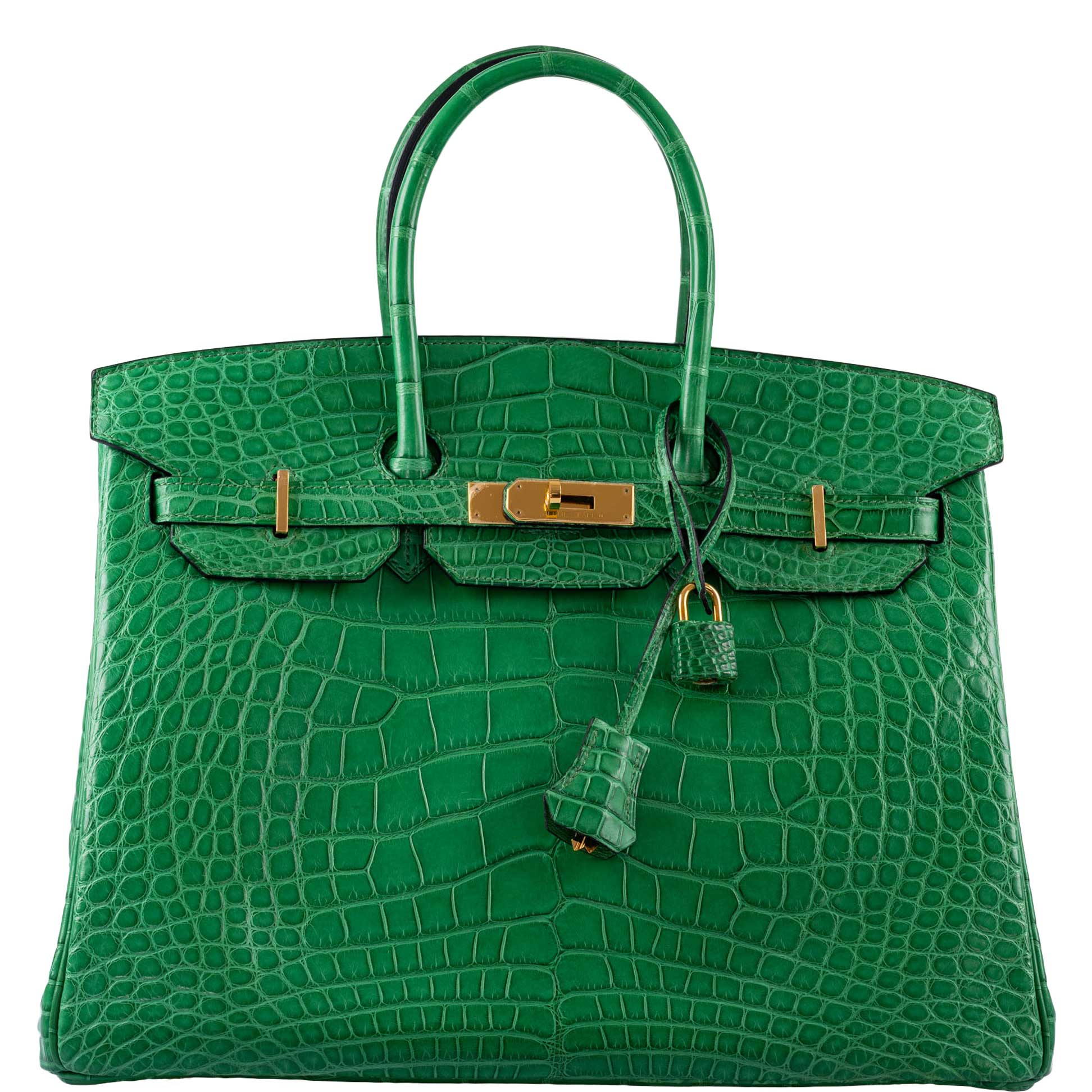 Hermes Birkin Bag Alligator Leather Gold Hardware In Green