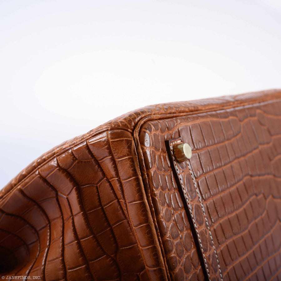 Hermès Birkin 35 Matte Fauve Barenia Porosus Crocodile Gold Hardware