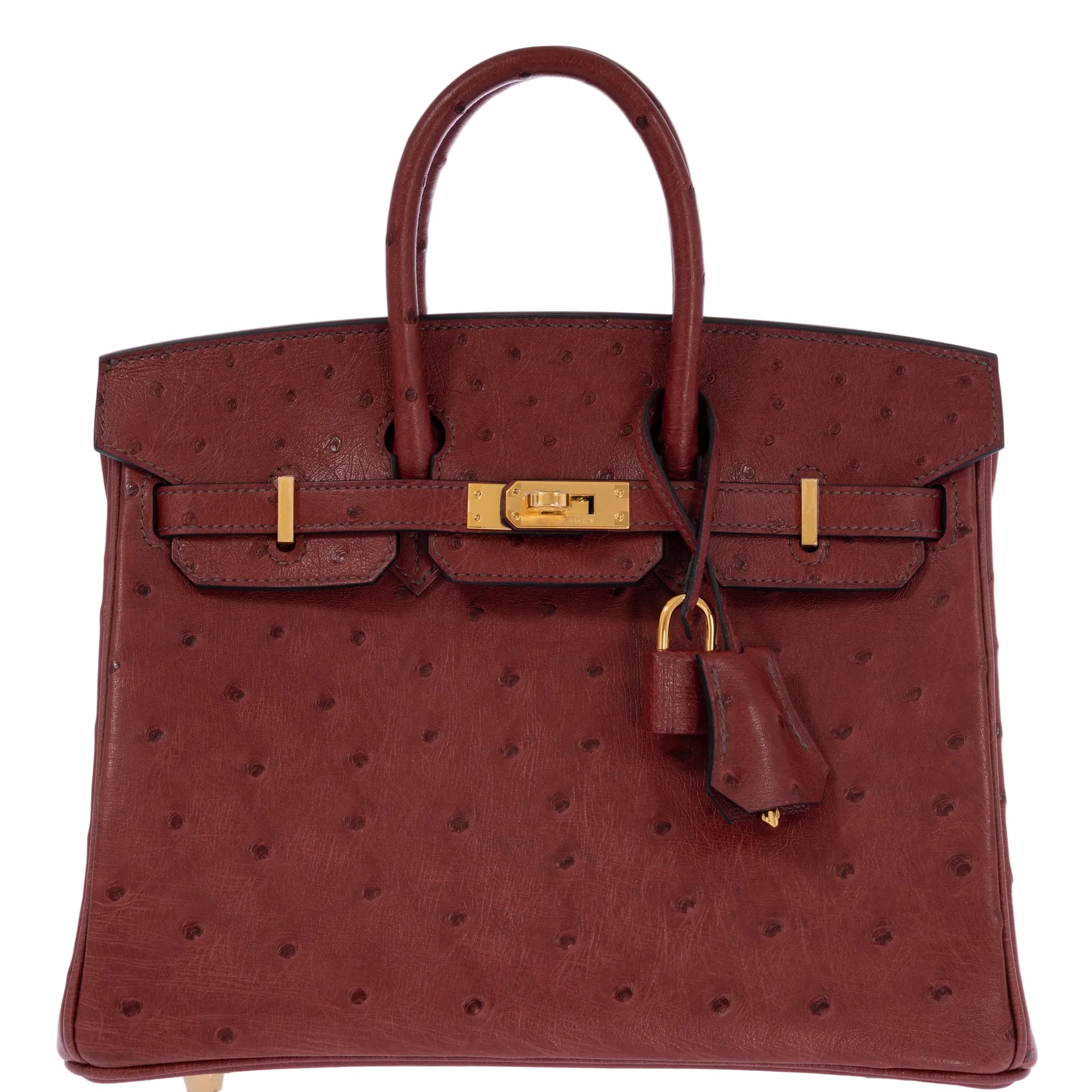 Hermès Birkin 25 Rouge H Ostrich Retourné Gold Hardware