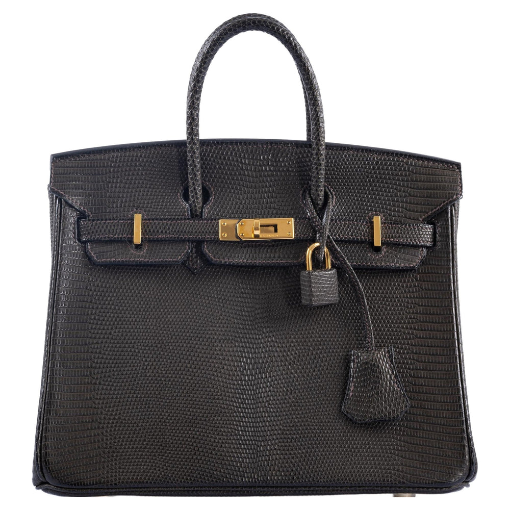 Hermès Birkin 25 Ebene Matte Salvator Lizard Gold Hardware