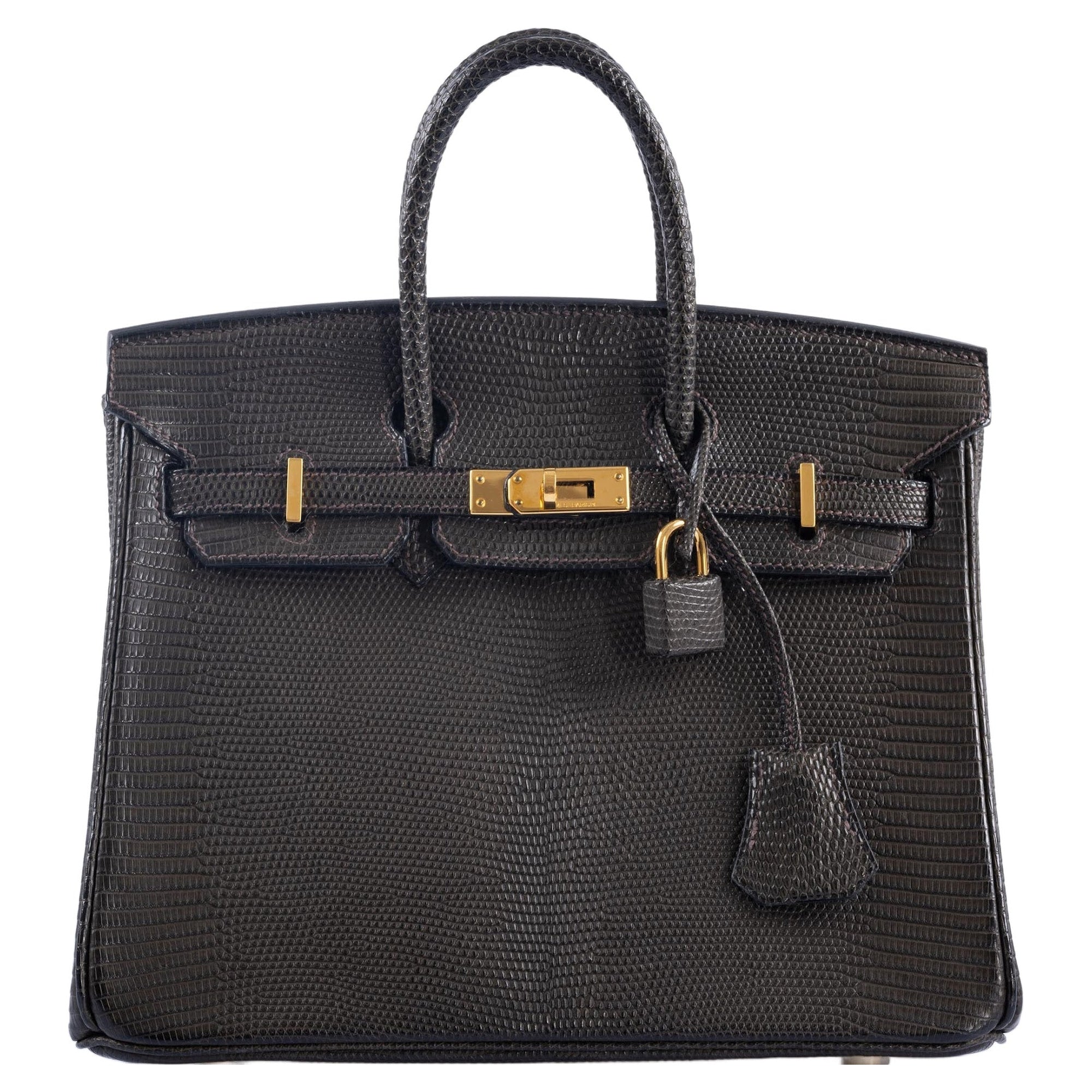 Hermès Birkin 25 Ebene Matte Salvator Lizard Gold Hardware