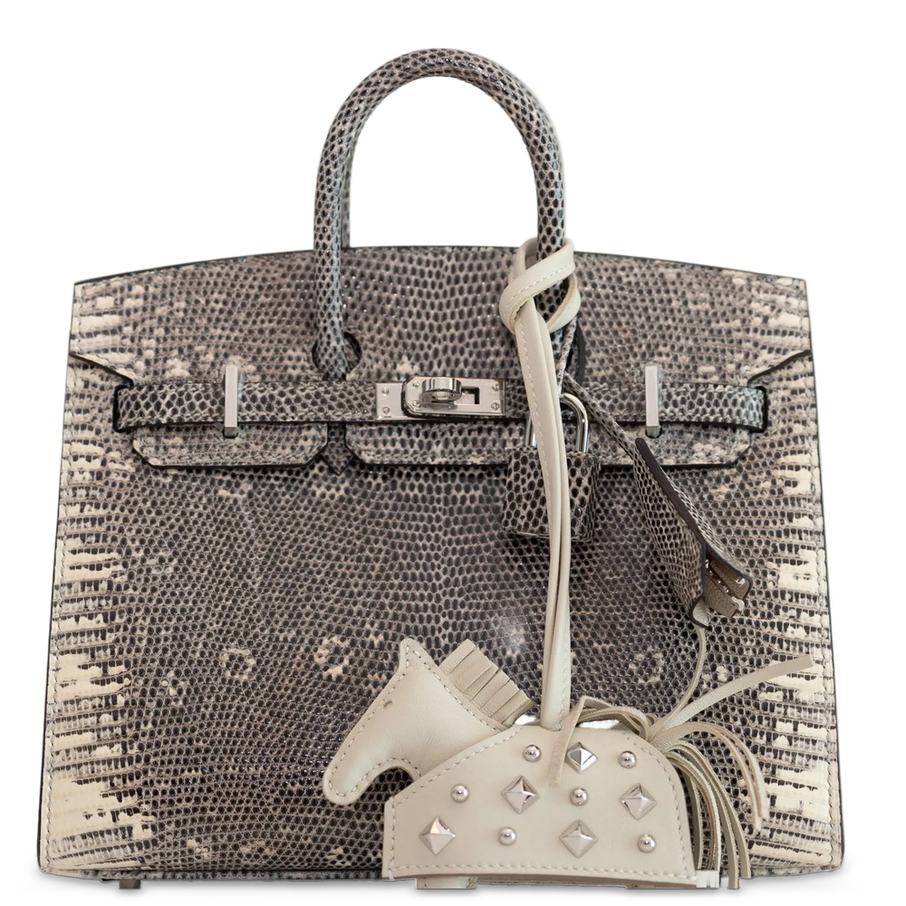 Hermès Birkin 20 Sellier Ombré Varanus Salvator Lizard Palladium Hardware, front view