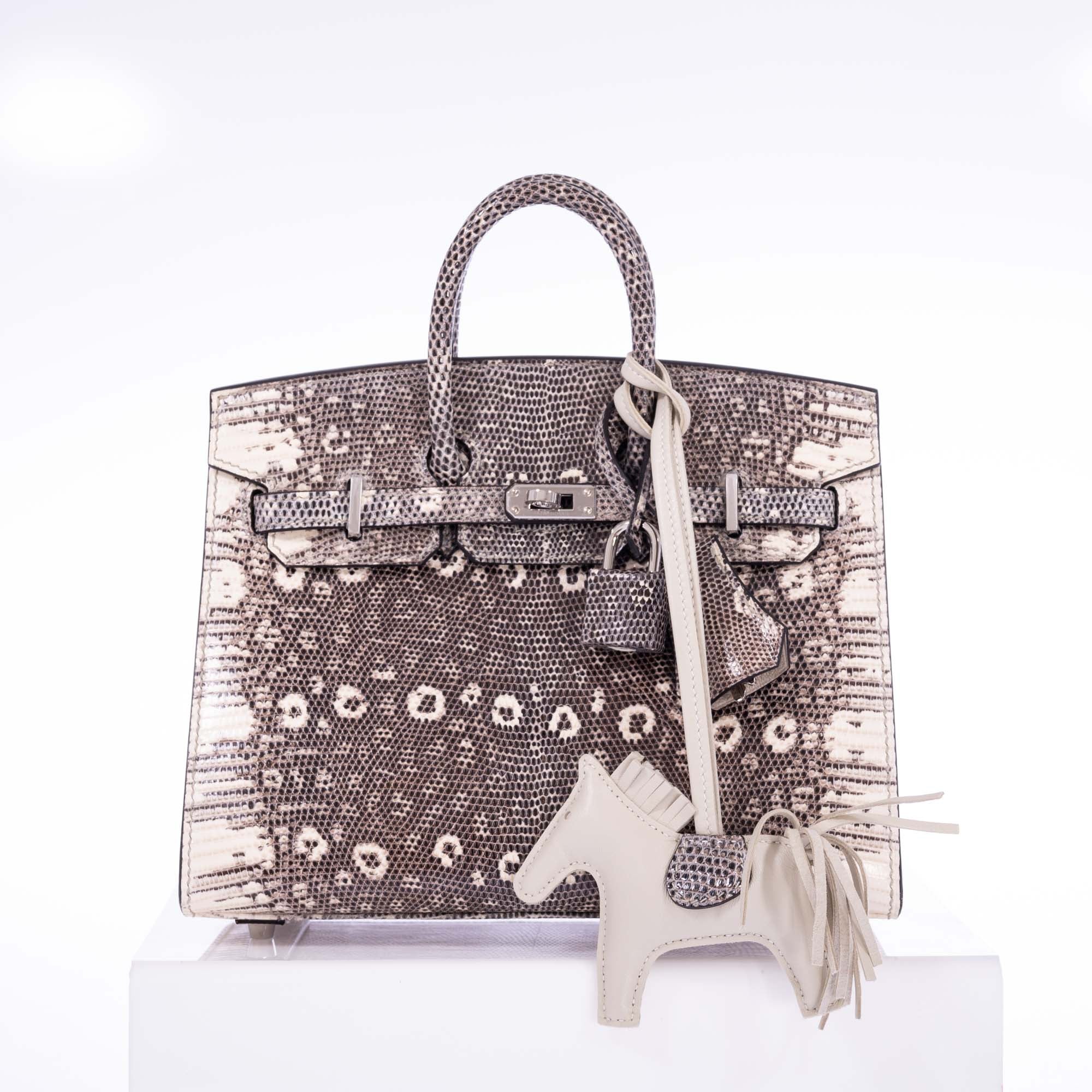 Hermès Birkin 20 Sellier Ombré Varanus Salvator Lizard Palladium