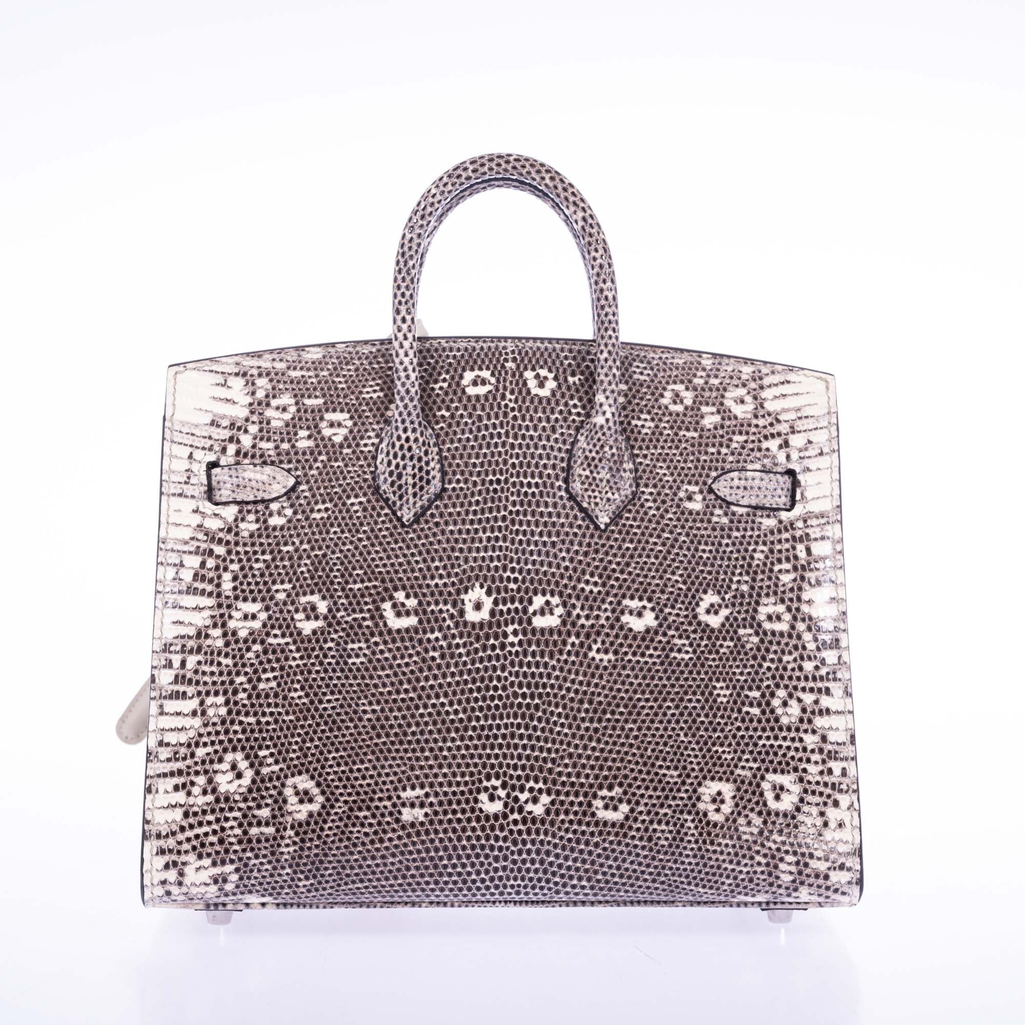 Hermès Birkin 20 Sellier Ombré Varanus Salvator Lizard Palladium Hardware