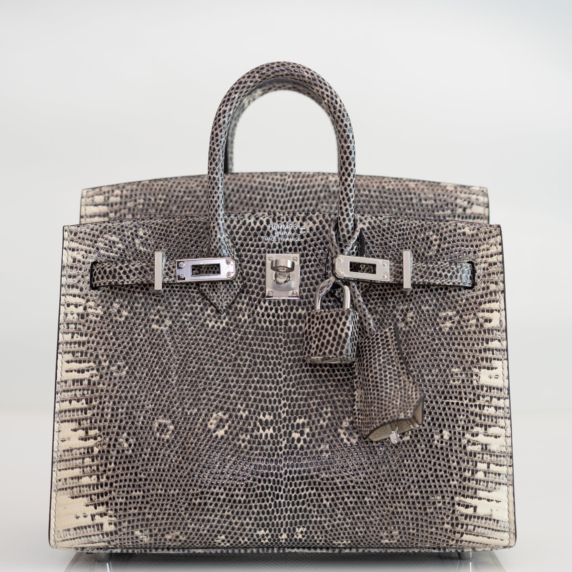 Hermès Birkin 20 Sellier Ombré Varanus Salvator Lizard Palladium Hardware